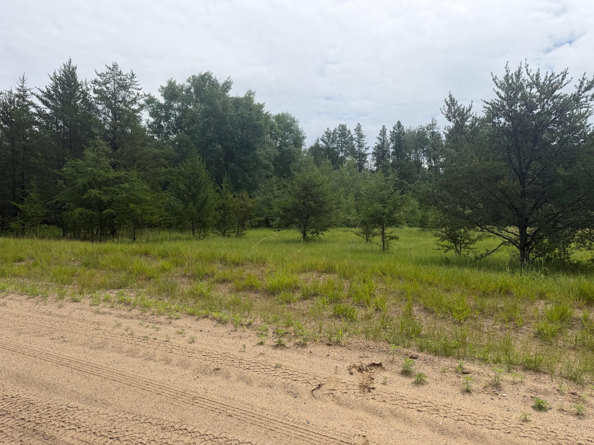 TBD 350th Street, Menahga MN 56464 - Photo 57 of 100