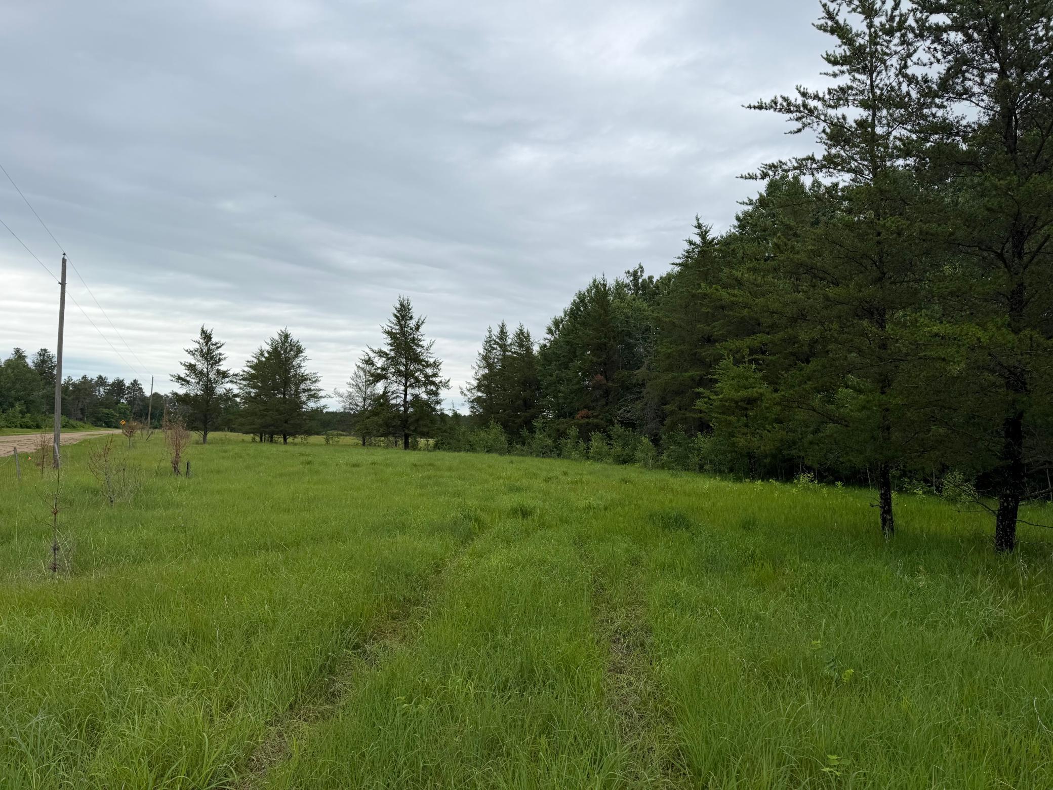 TBD 350th Street, Menahga MN 56464 - Photo 59 of 100