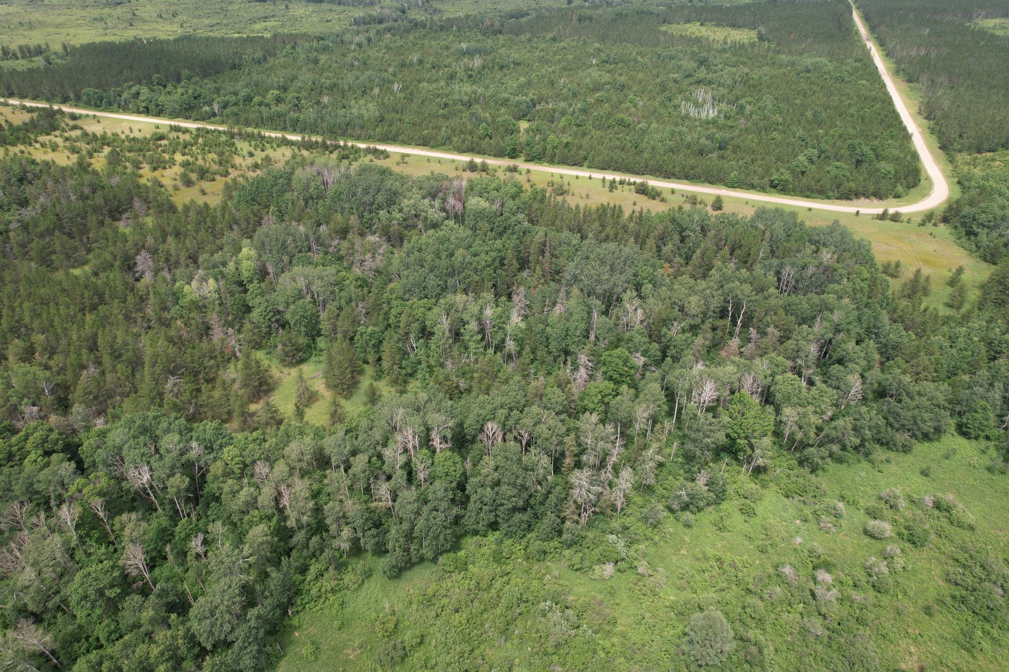 TBD 350th Street, Menahga MN 56464 - Photo 7 of 100