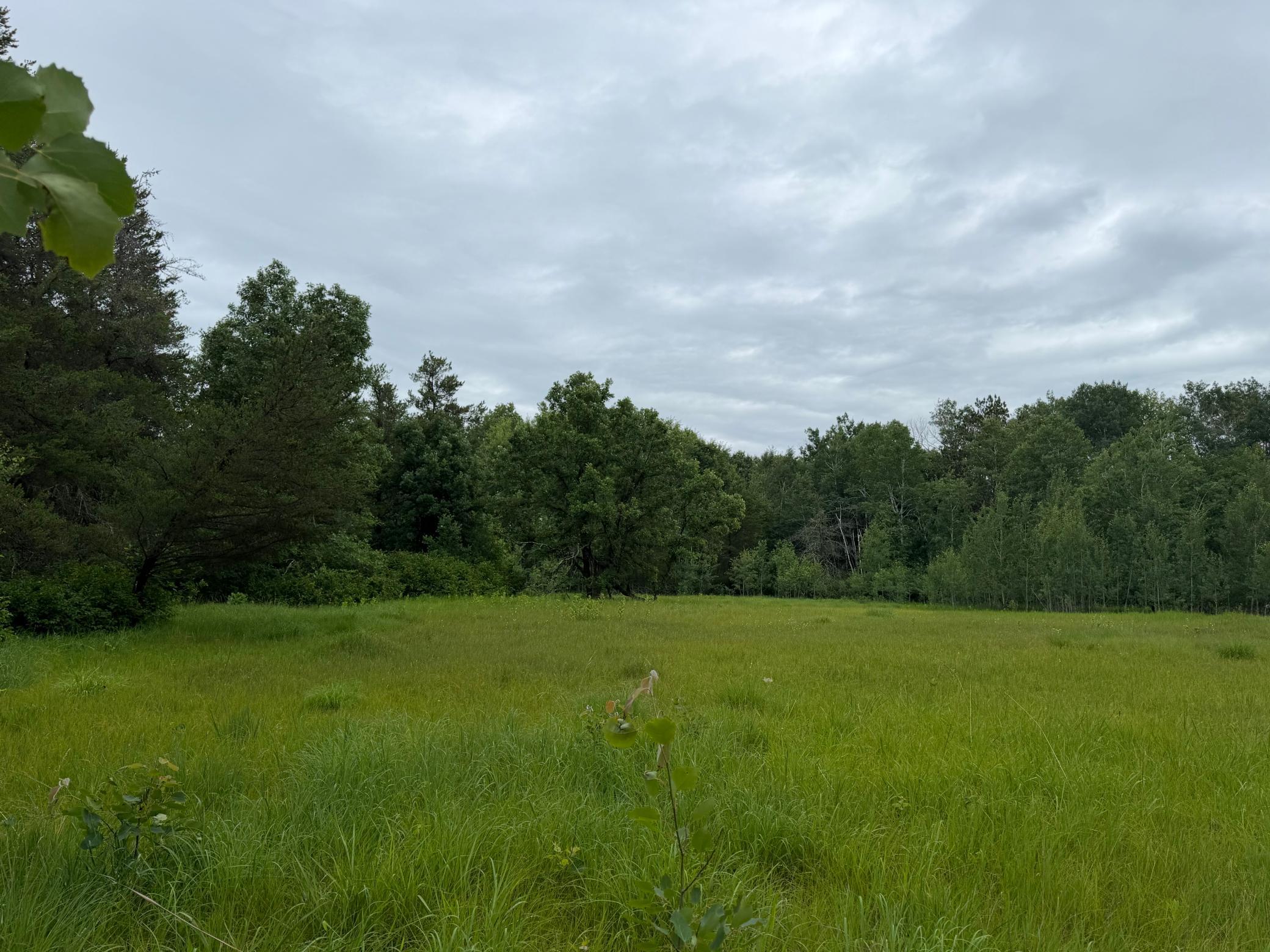 TBD 350th Street, Menahga MN 56464 - Photo 64 of 100