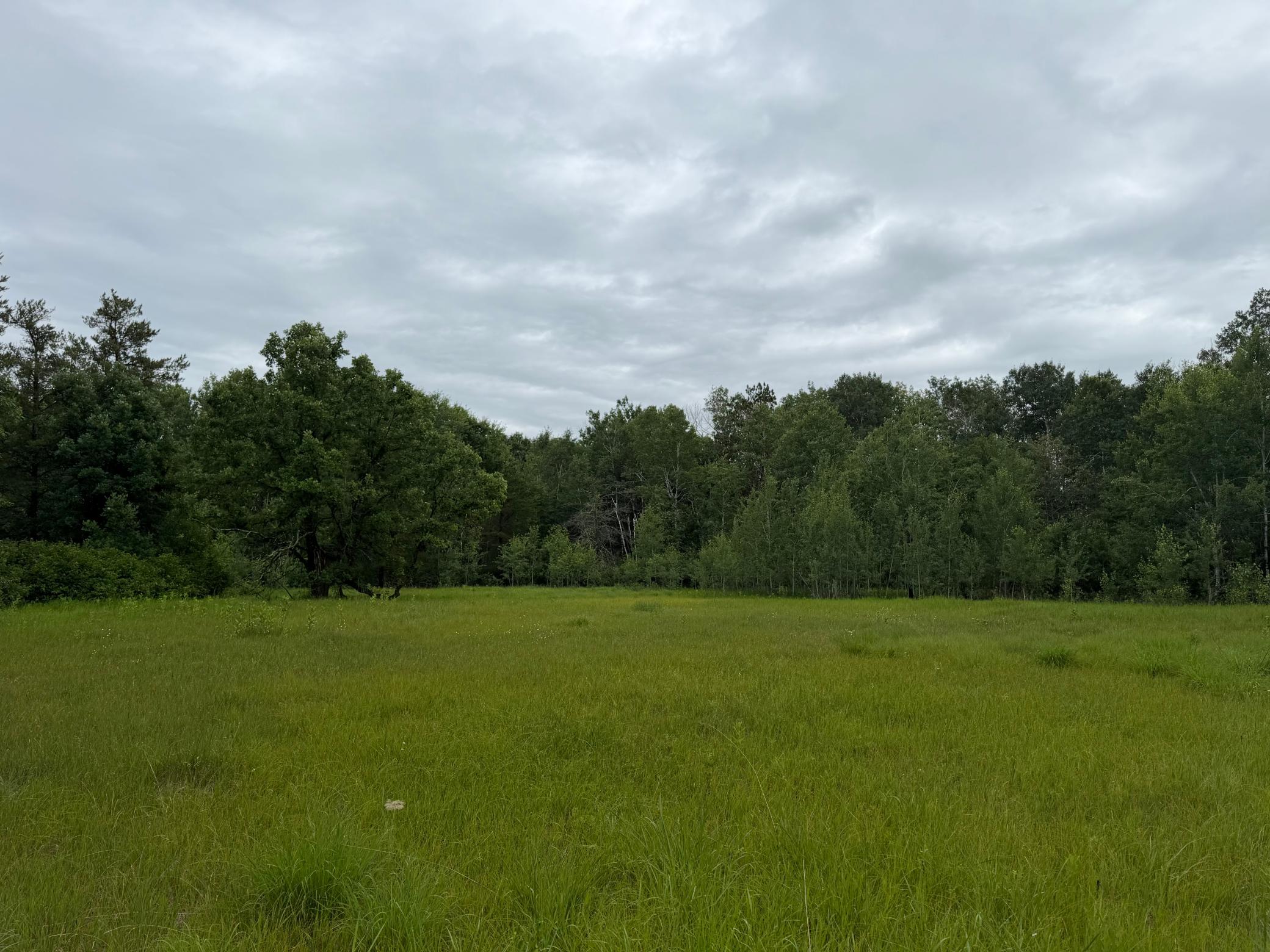 TBD 350th Street, Menahga MN 56464 - Photo 66 of 100