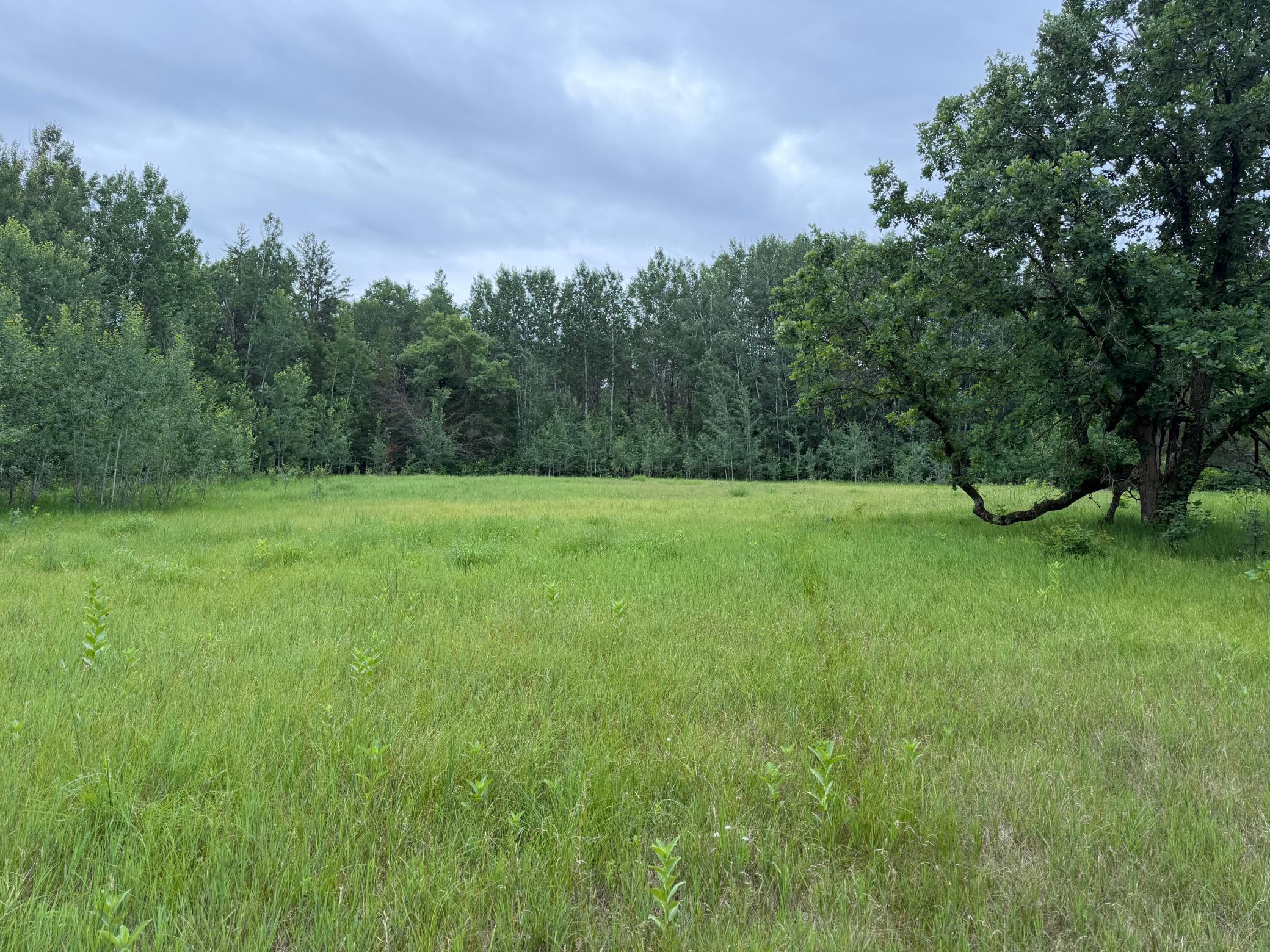 TBD 350th Street, Menahga MN 56464 - Photo 67 of 100