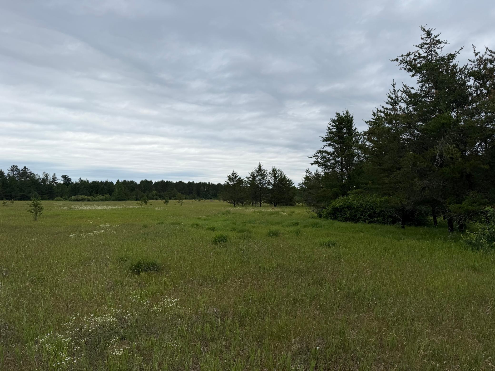 TBD 350th Street, Menahga MN 56464 - Photo 71 of 100