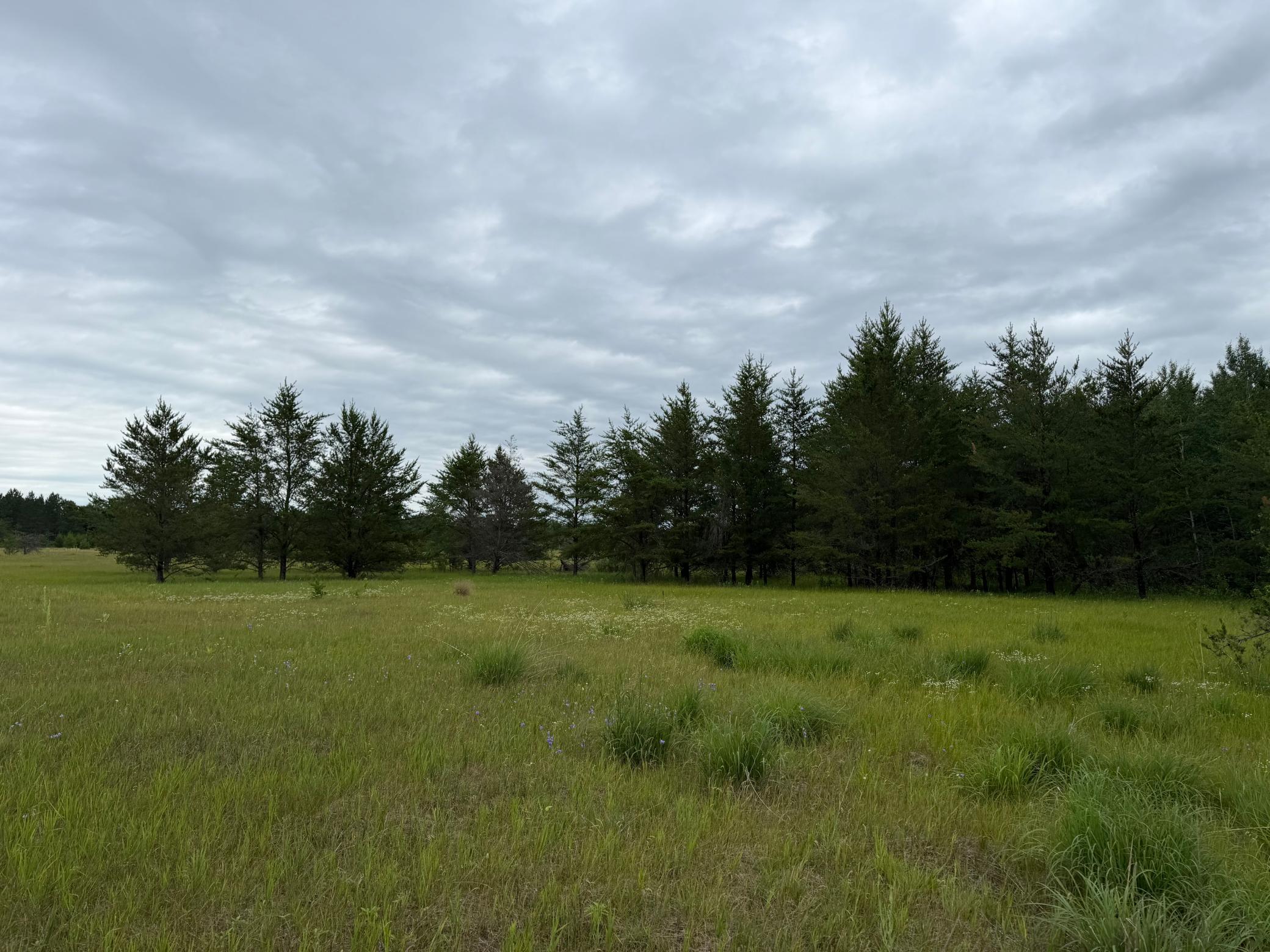 TBD 350th Street, Menahga MN 56464 - Photo 72 of 100