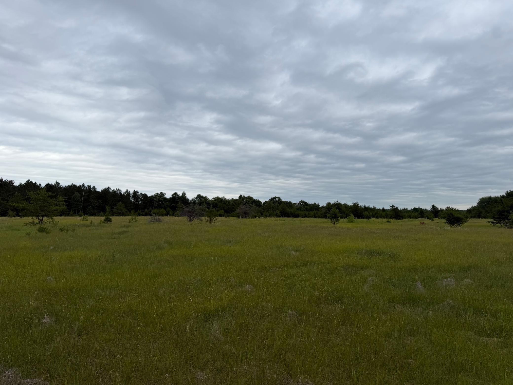 TBD 350th Street, Menahga MN 56464 - Photo 73 of 100