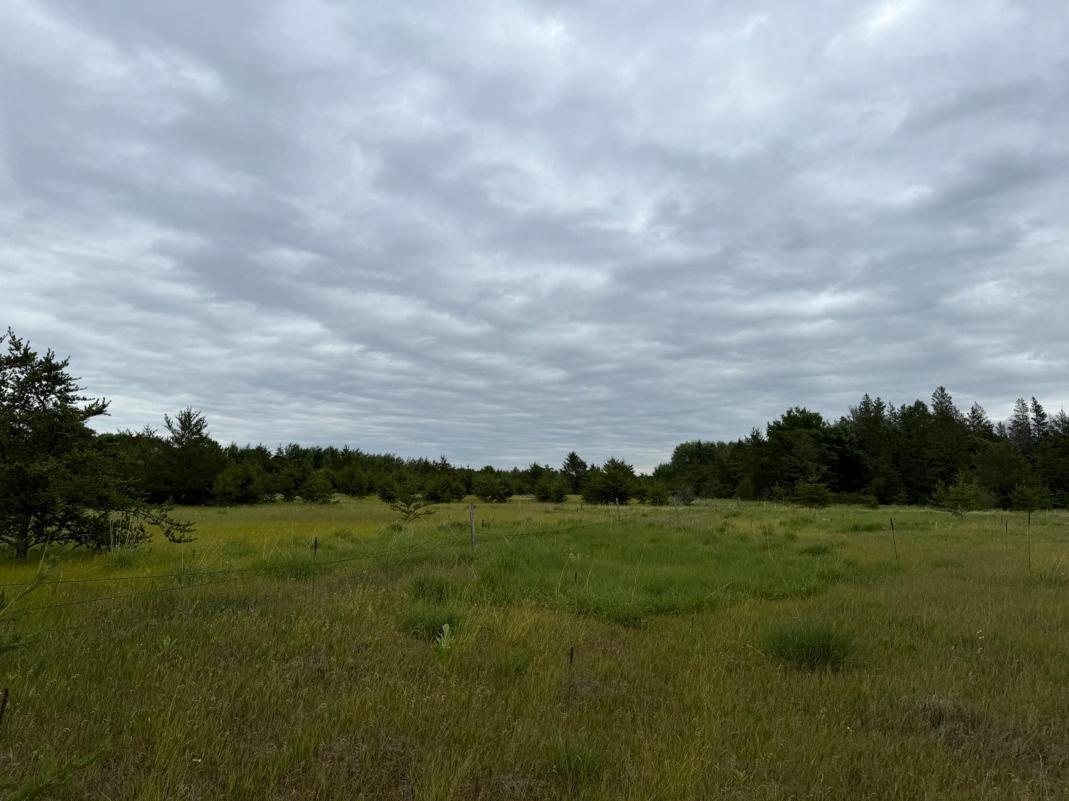 TBD 350th Street, Menahga MN 56464 - Photo 75 of 100