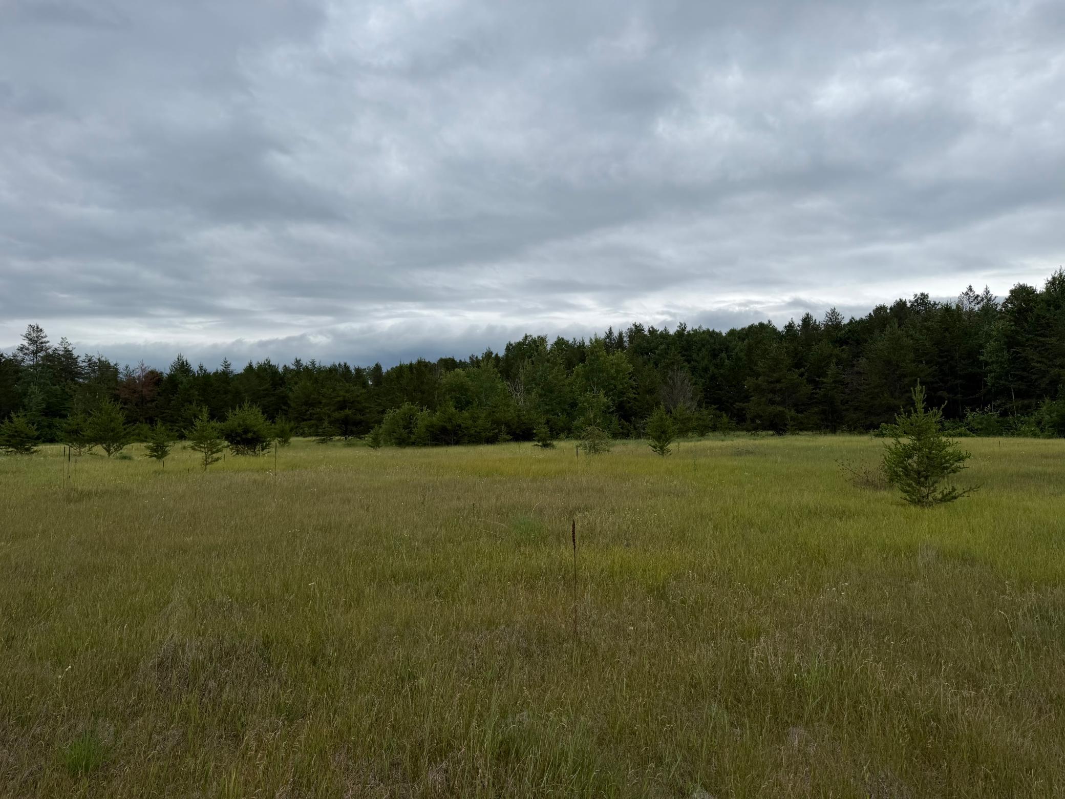 TBD 350th Street, Menahga MN 56464 - Photo 76 of 100