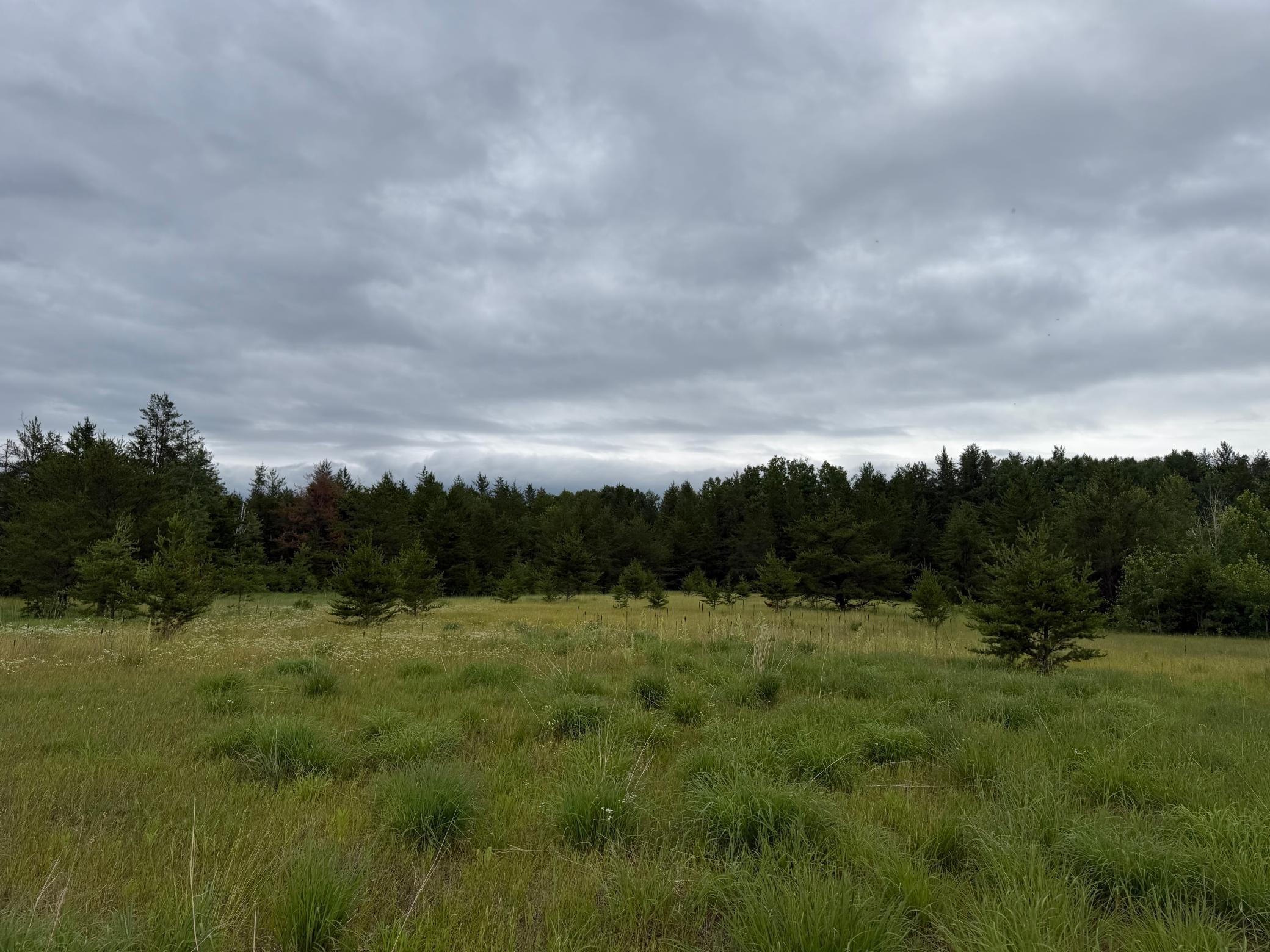TBD 350th Street, Menahga MN 56464 - Photo 77 of 100