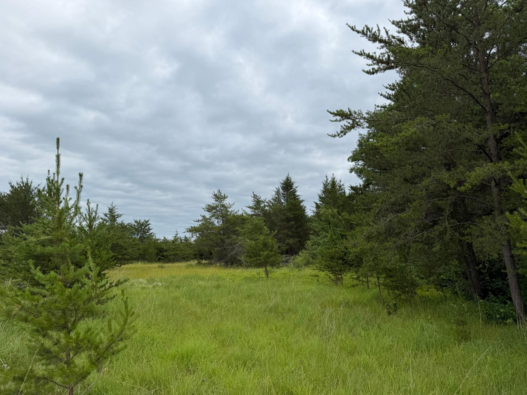 TBD 350th Street, Menahga MN 56464 - Photo 79 of 100