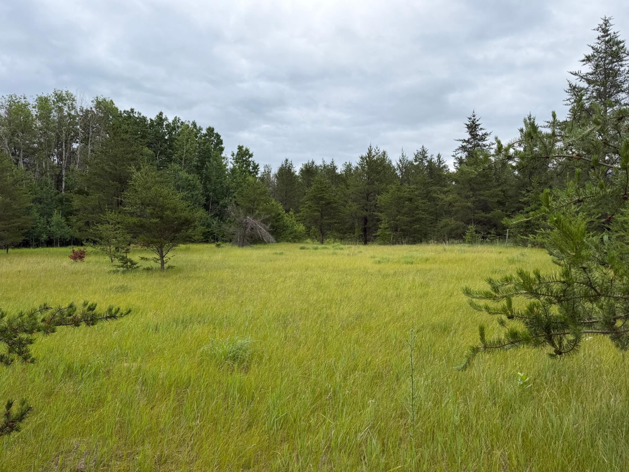 TBD 350th Street, Menahga MN 56464 - Photo 81 of 100