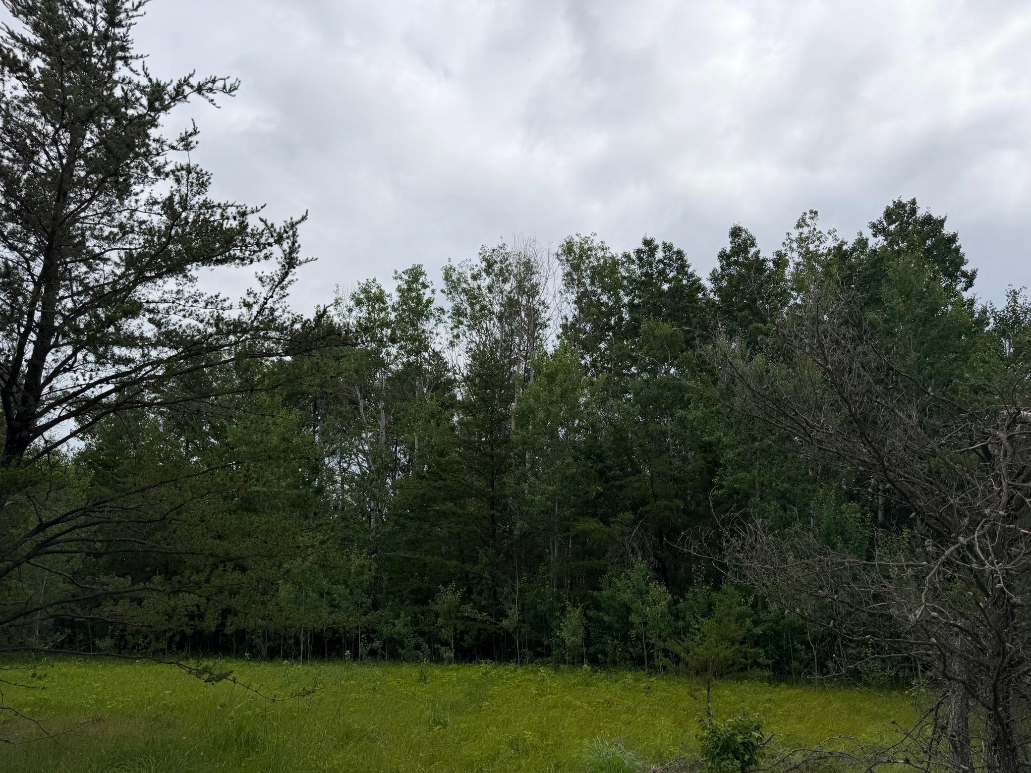 TBD 350th Street, Menahga MN 56464 - Photo 82 of 100