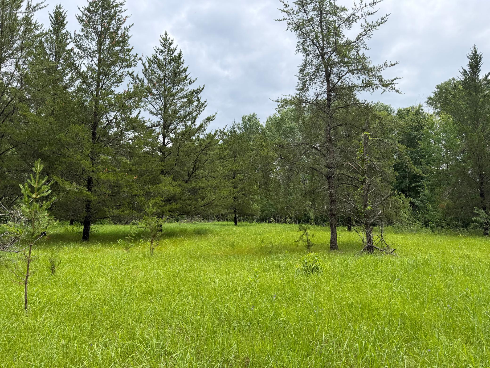 TBD 350th Street, Menahga MN 56464 - Photo 90 of 100