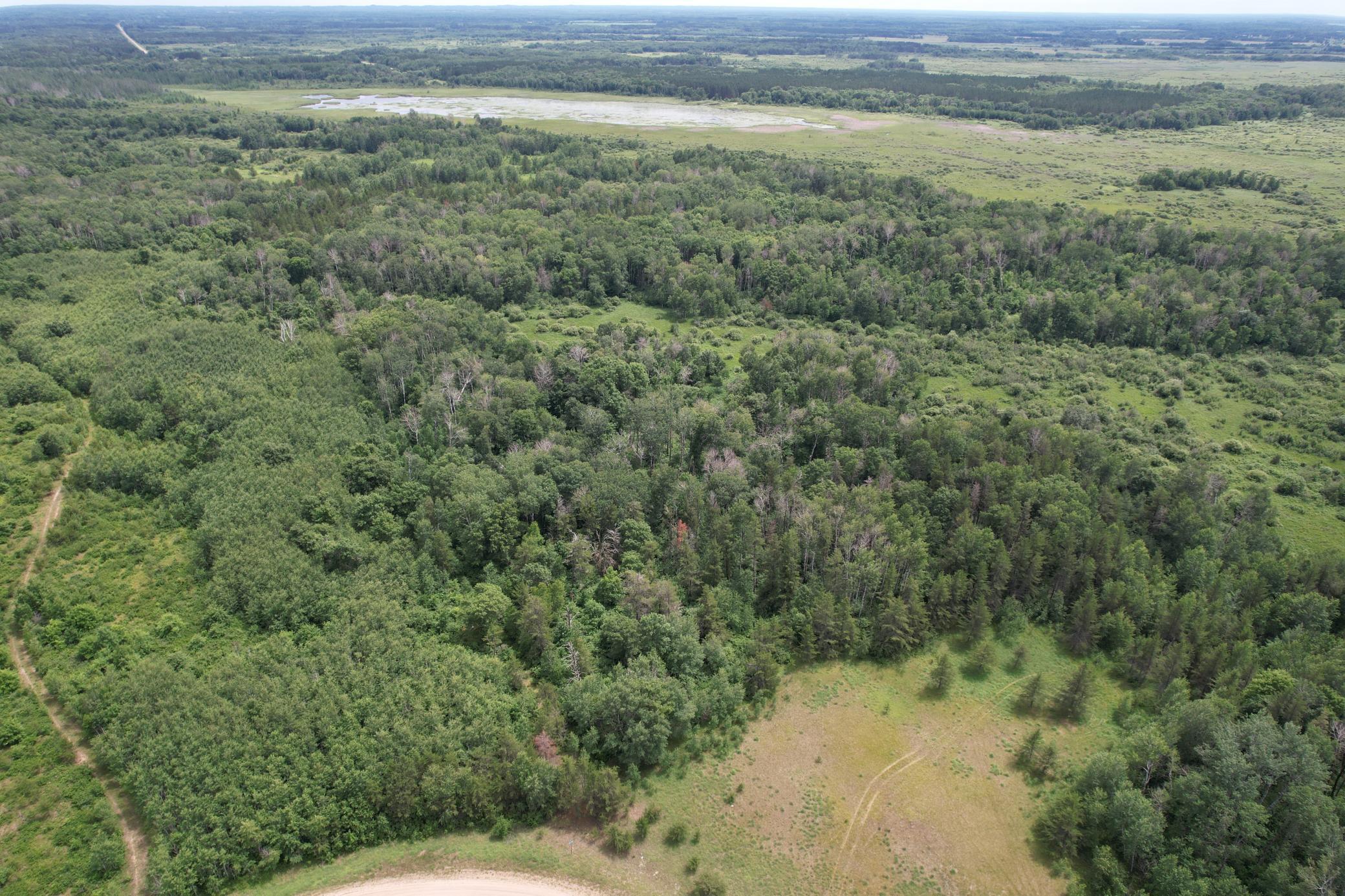 TBD 350th Street, Menahga MN 56464 - Photo 10 of 100