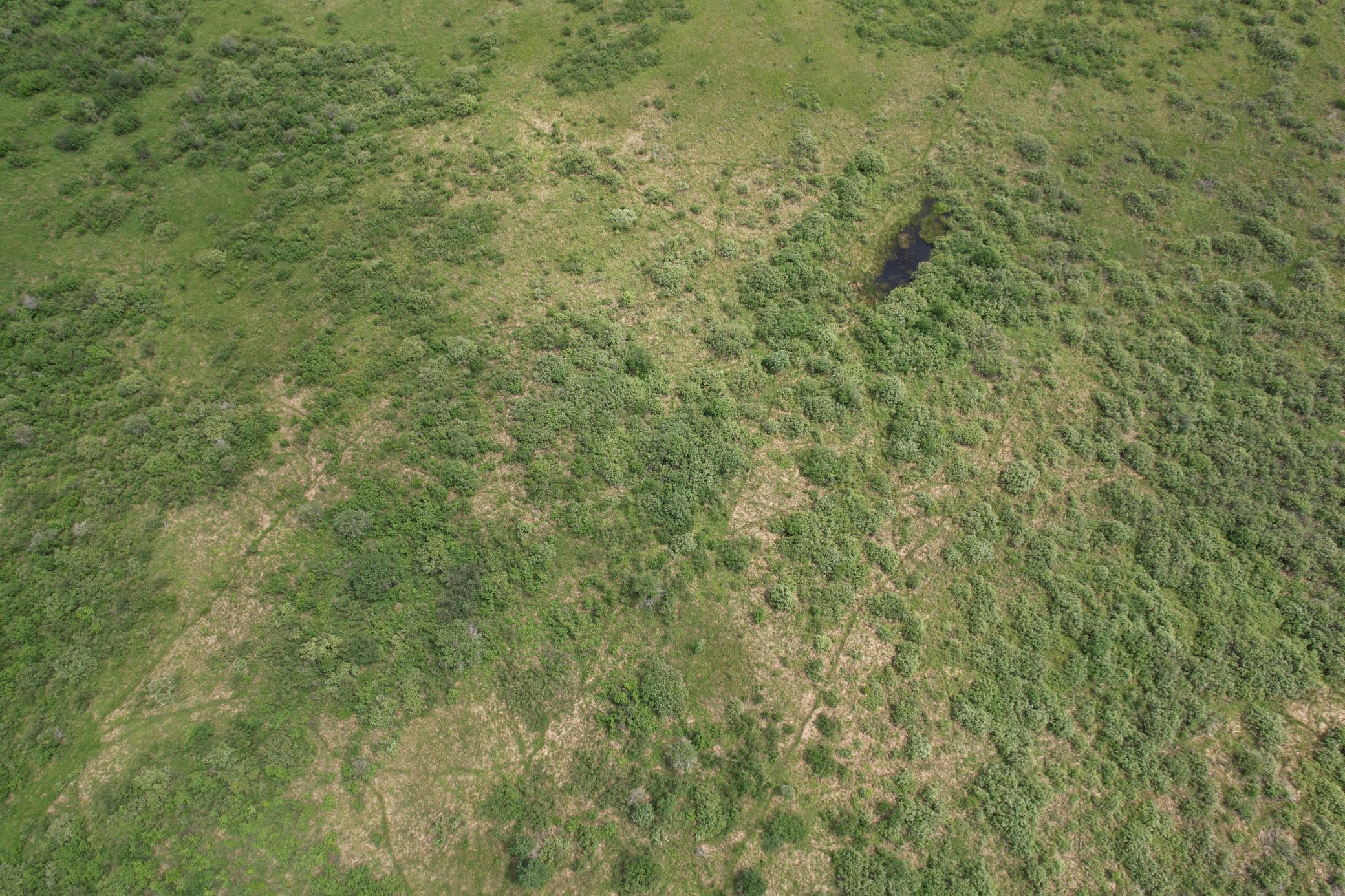 TBD- 350th Street, Menahga MN 56464 - Photo 11 of 55