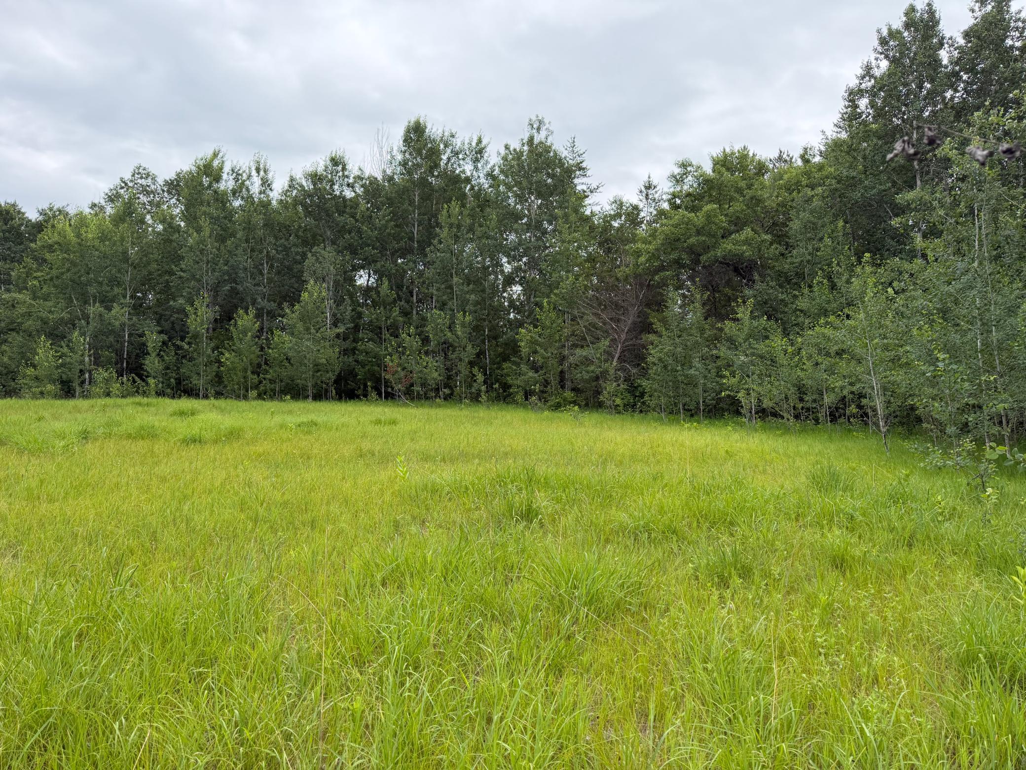 TBD- 350th Street, Menahga MN 56464 - Photo 21 of 55