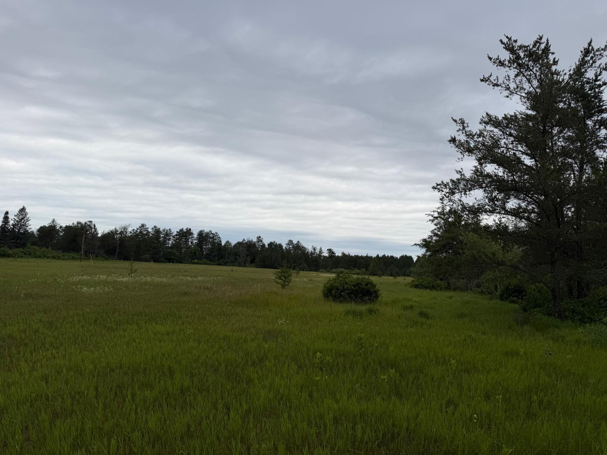 TBD- 350th Street, Menahga MN 56464 - Photo 26 of 55