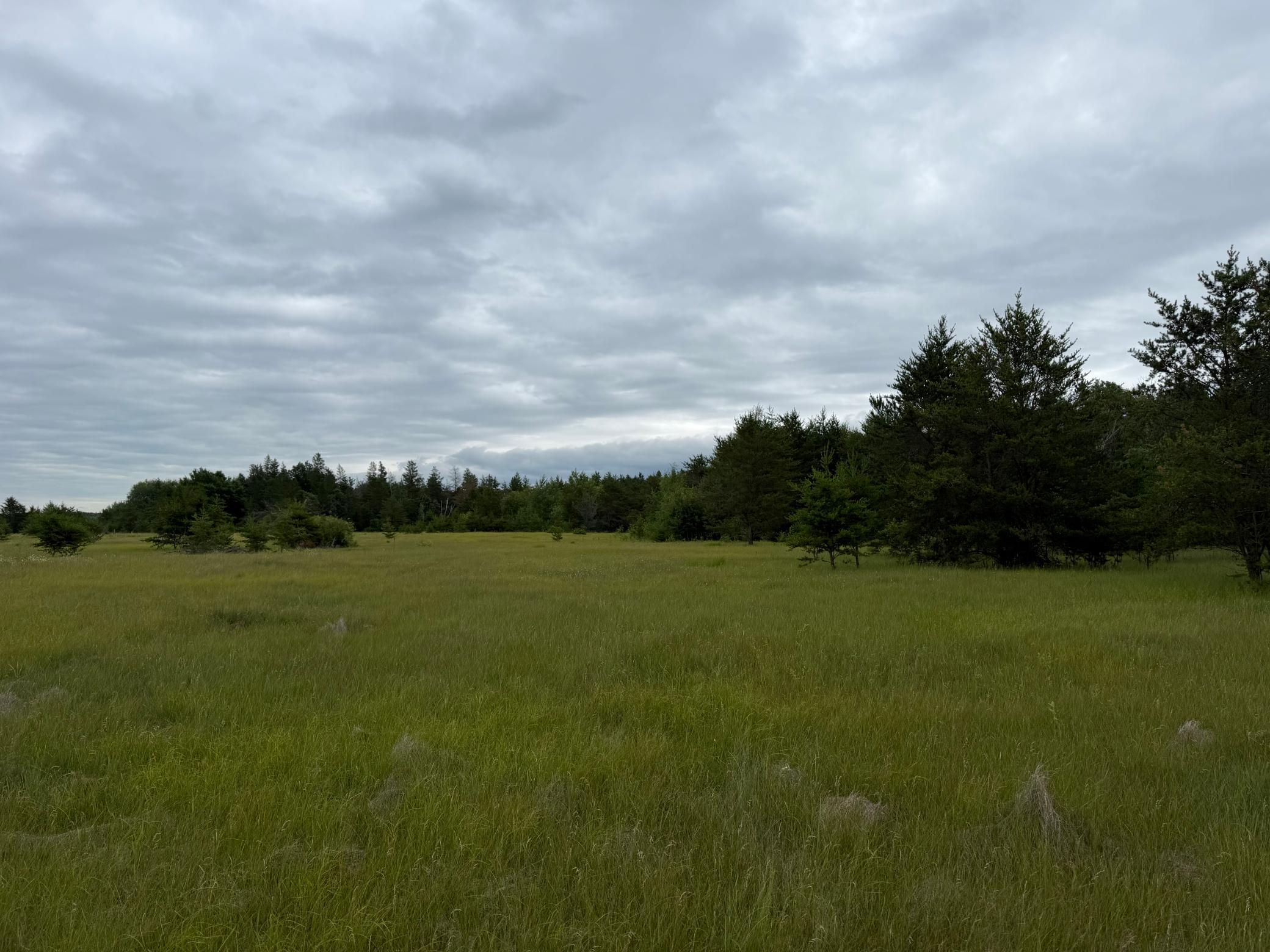 TBD- 350th Street, Menahga MN 56464 - Photo 30 of 55