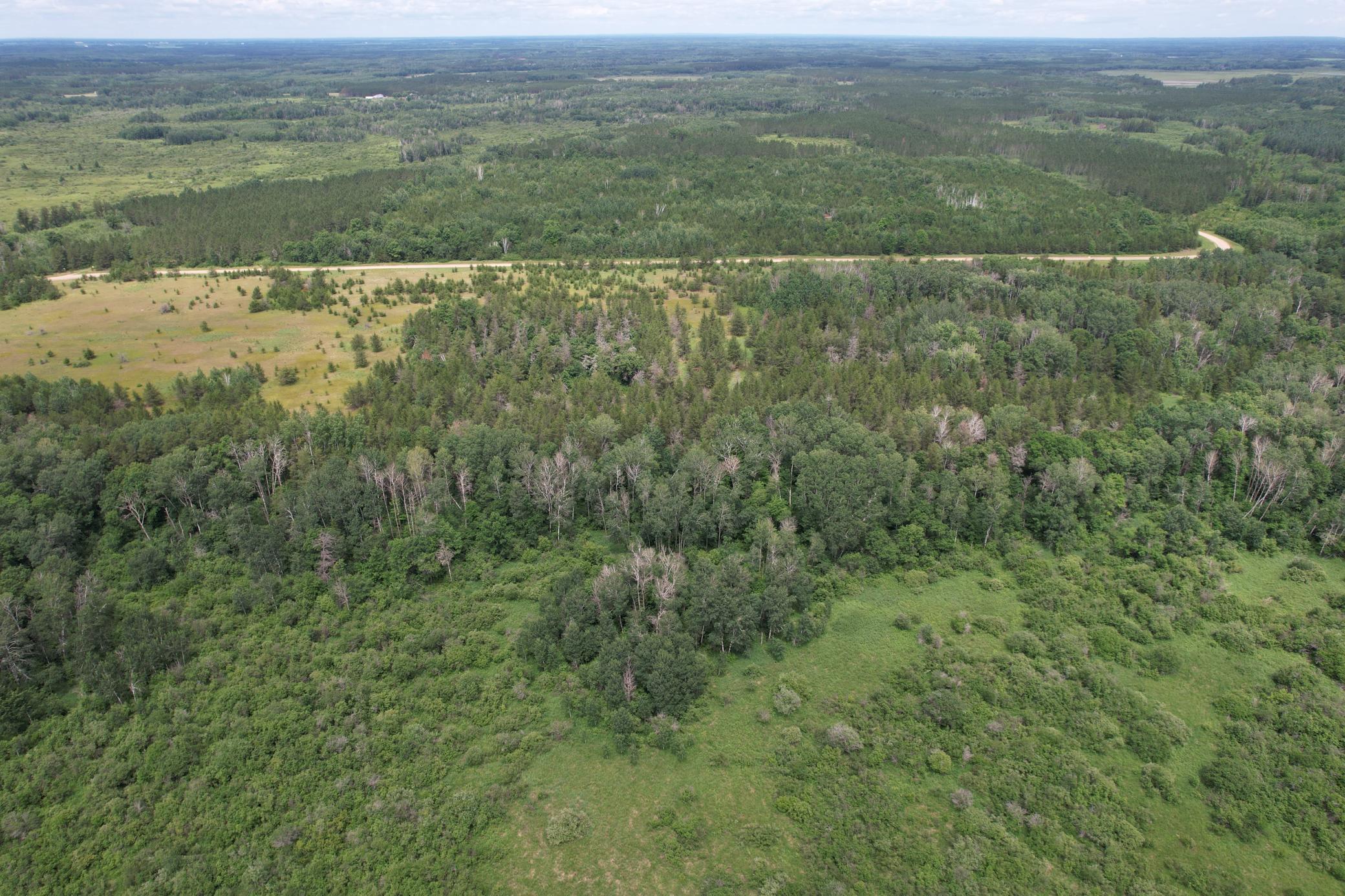 TBD- 350th Street, Menahga MN 56464 - Photo 4 of 55