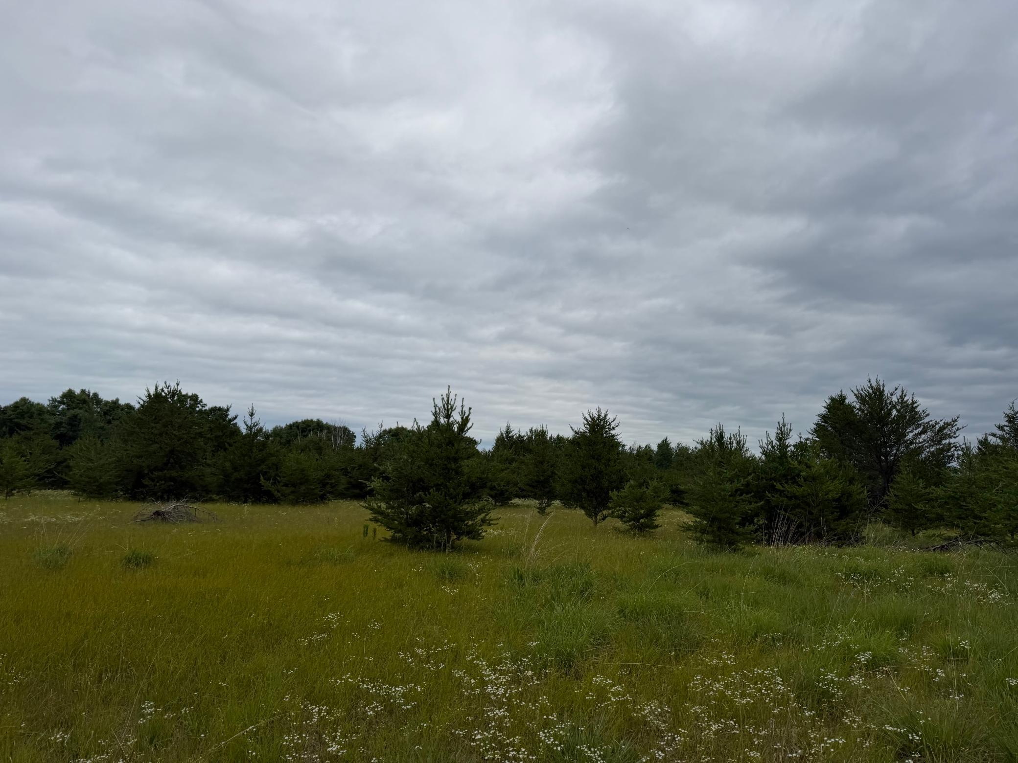 TBD- 350th Street, Menahga MN 56464 - Photo 34 of 55