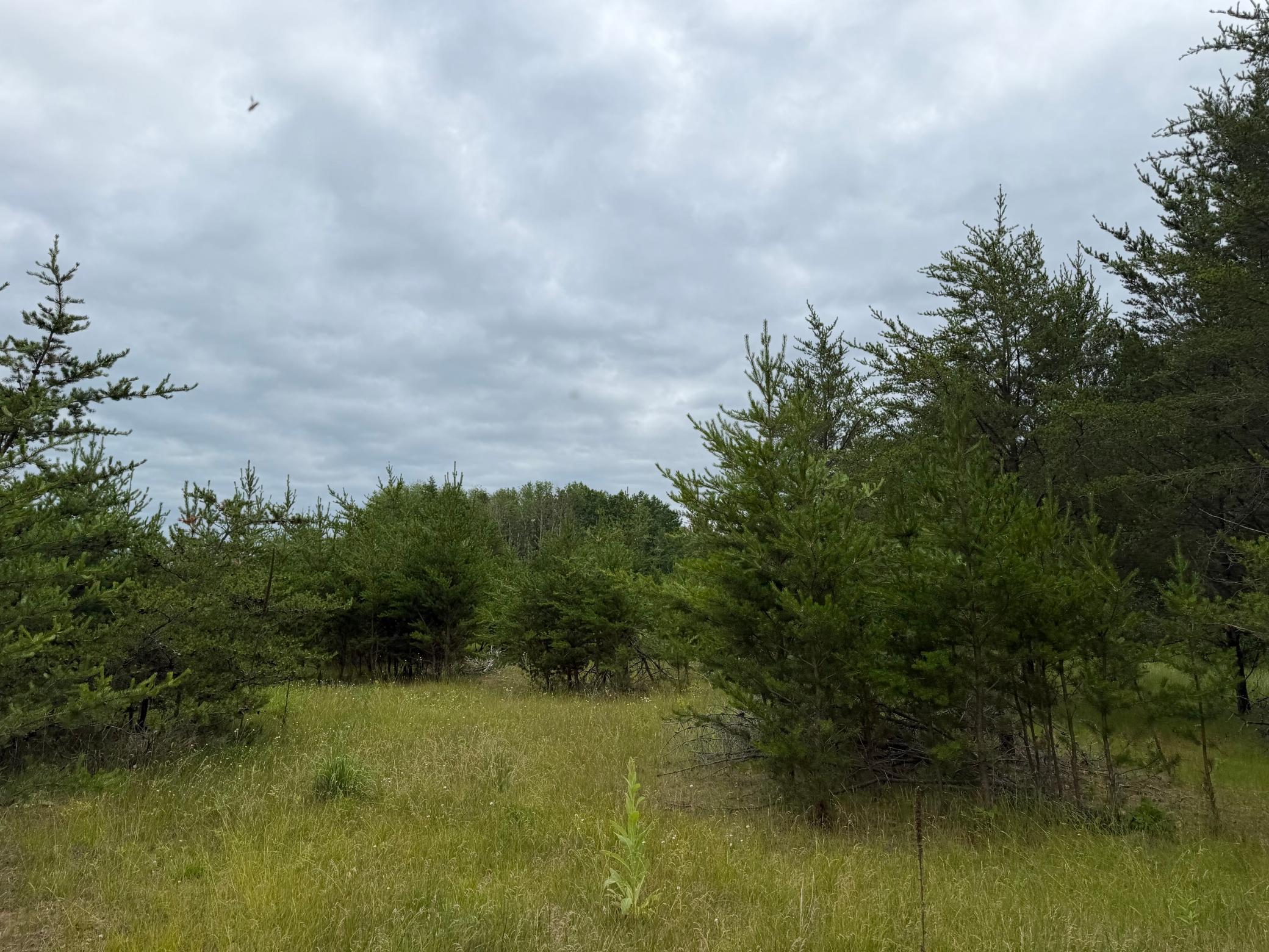 TBD- 350th Street, Menahga MN 56464 - Photo 36 of 55