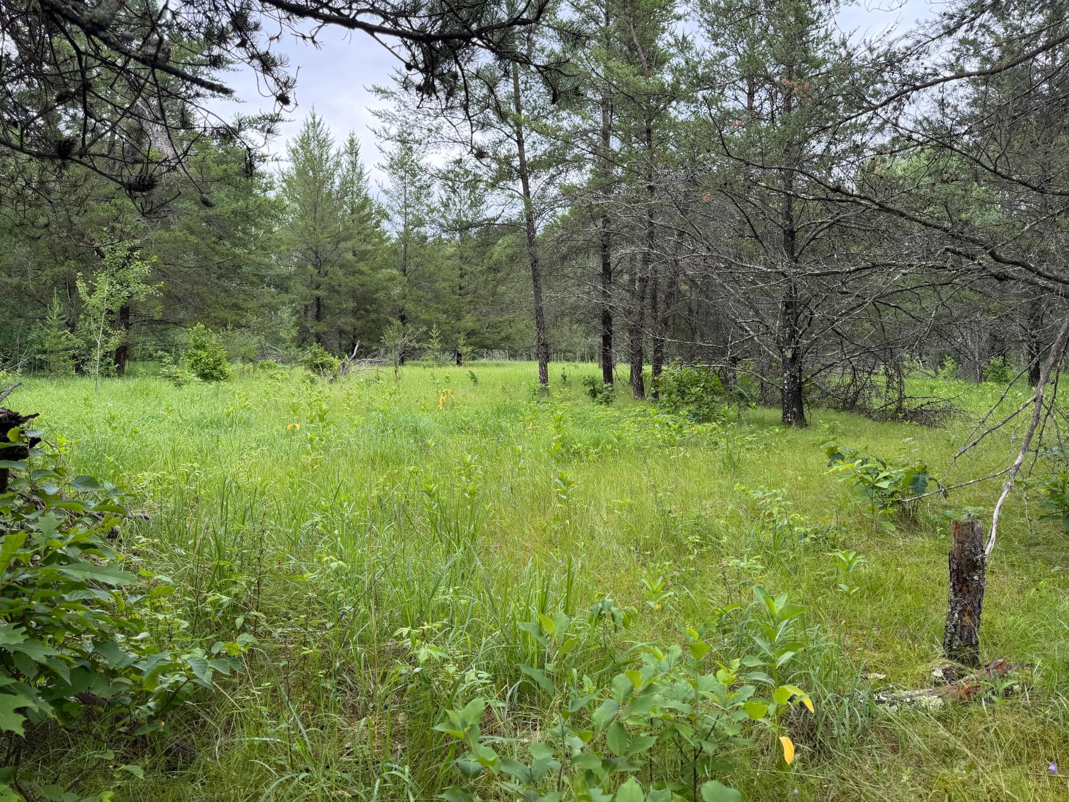 TBD- 350th Street, Menahga MN 56464 - Photo 45 of 55