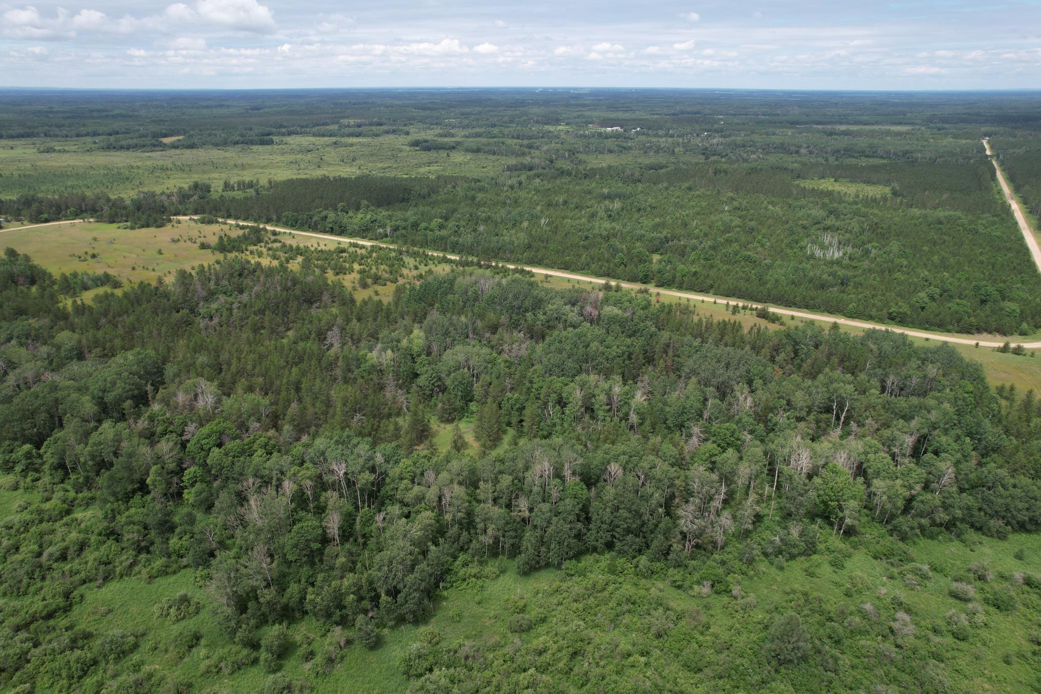 TBD- 350th Street, Menahga MN 56464 - Photo 6 of 55