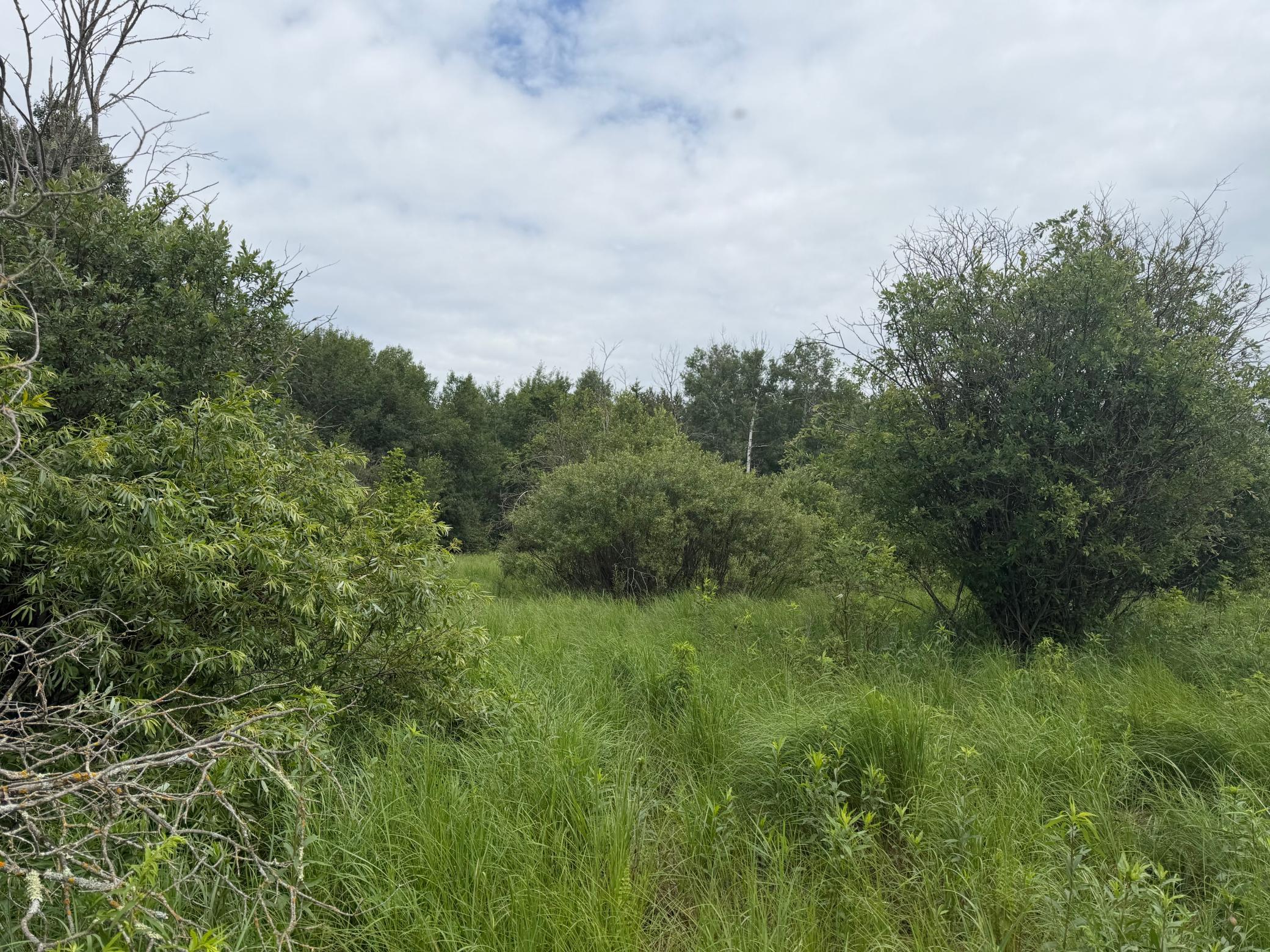 TBD- 350th Street, Menahga MN 56464 - Photo 51 of 55