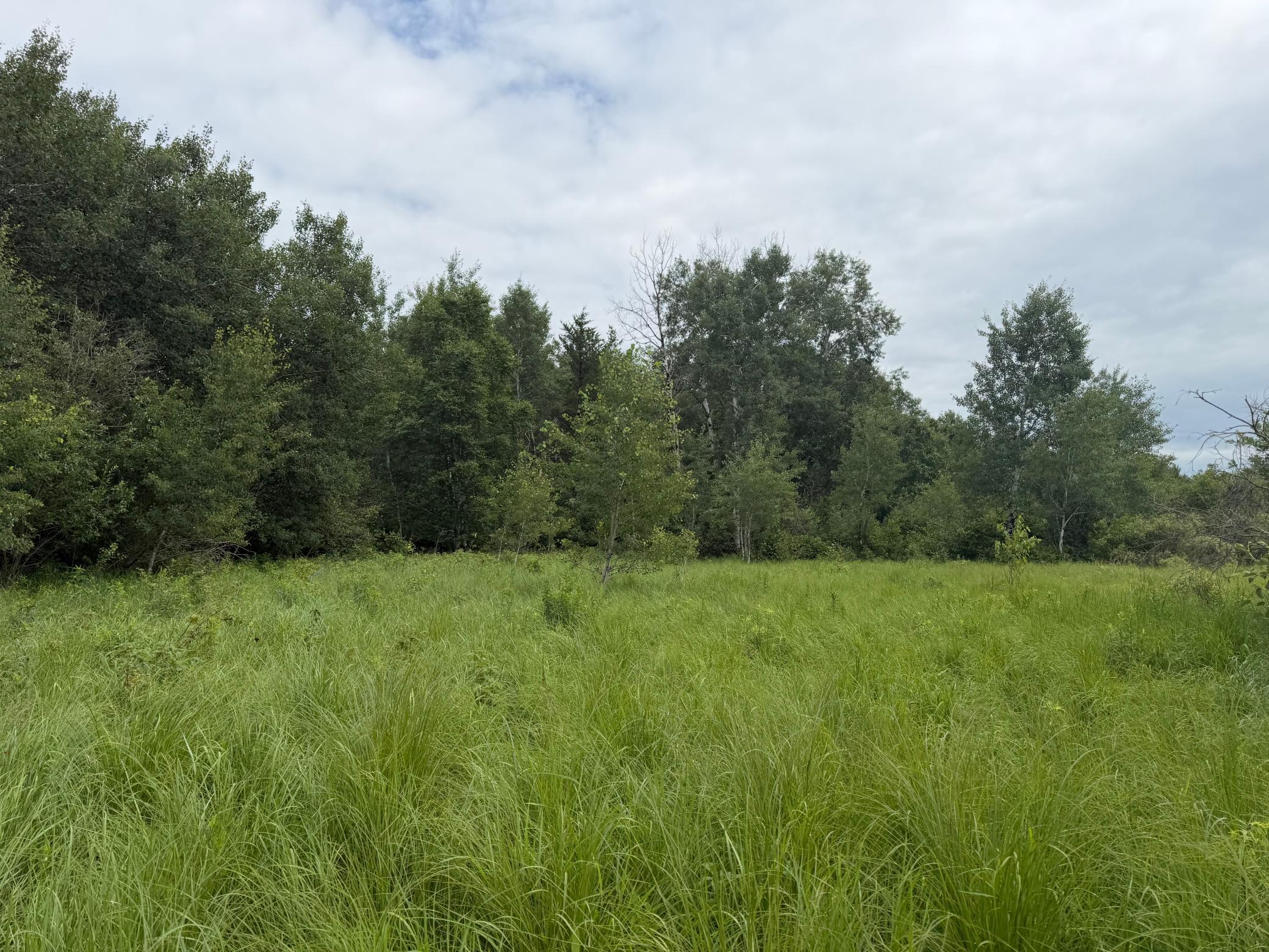 TBD- 350th Street, Menahga MN 56464 - Photo 52 of 55