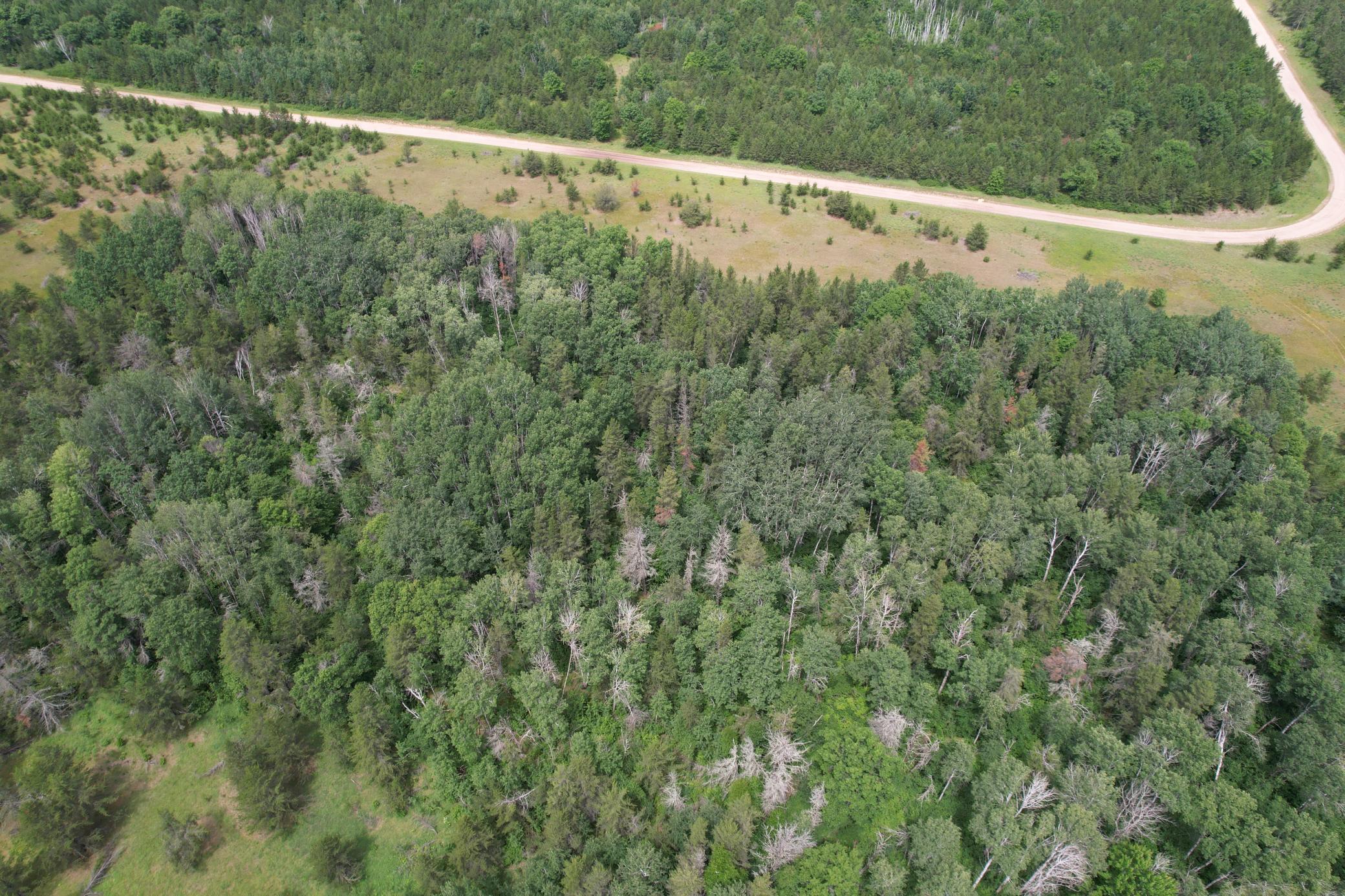 TBD- 350th Street, Menahga MN 56464 - Photo 8 of 55