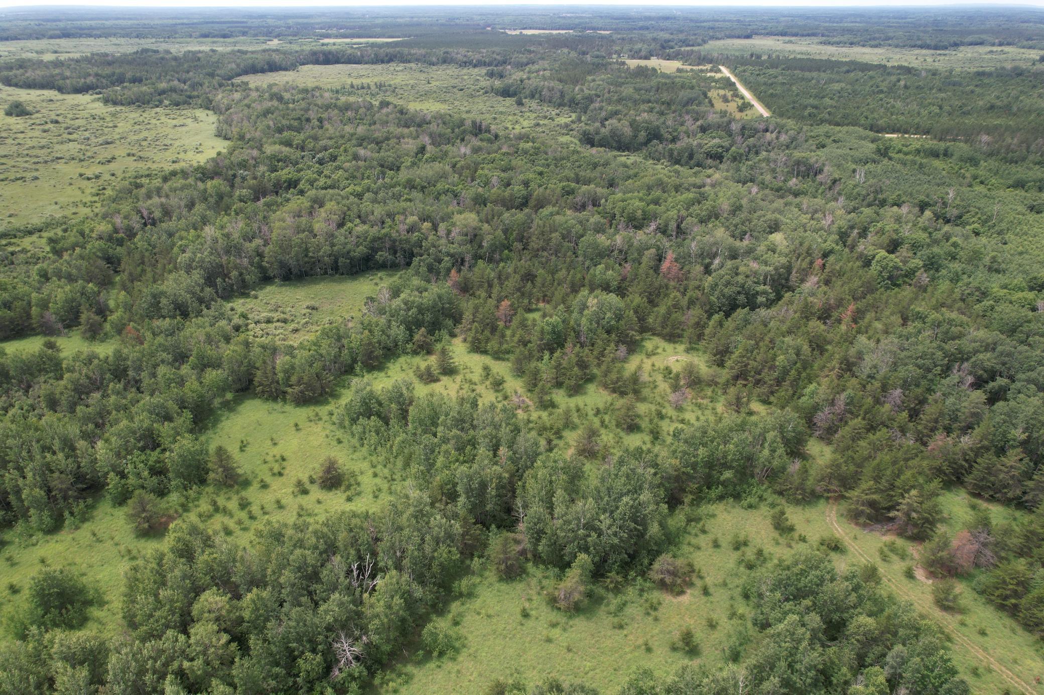 TBDx 350th Street, Menahga MN 56464 - Photo 4 of 22