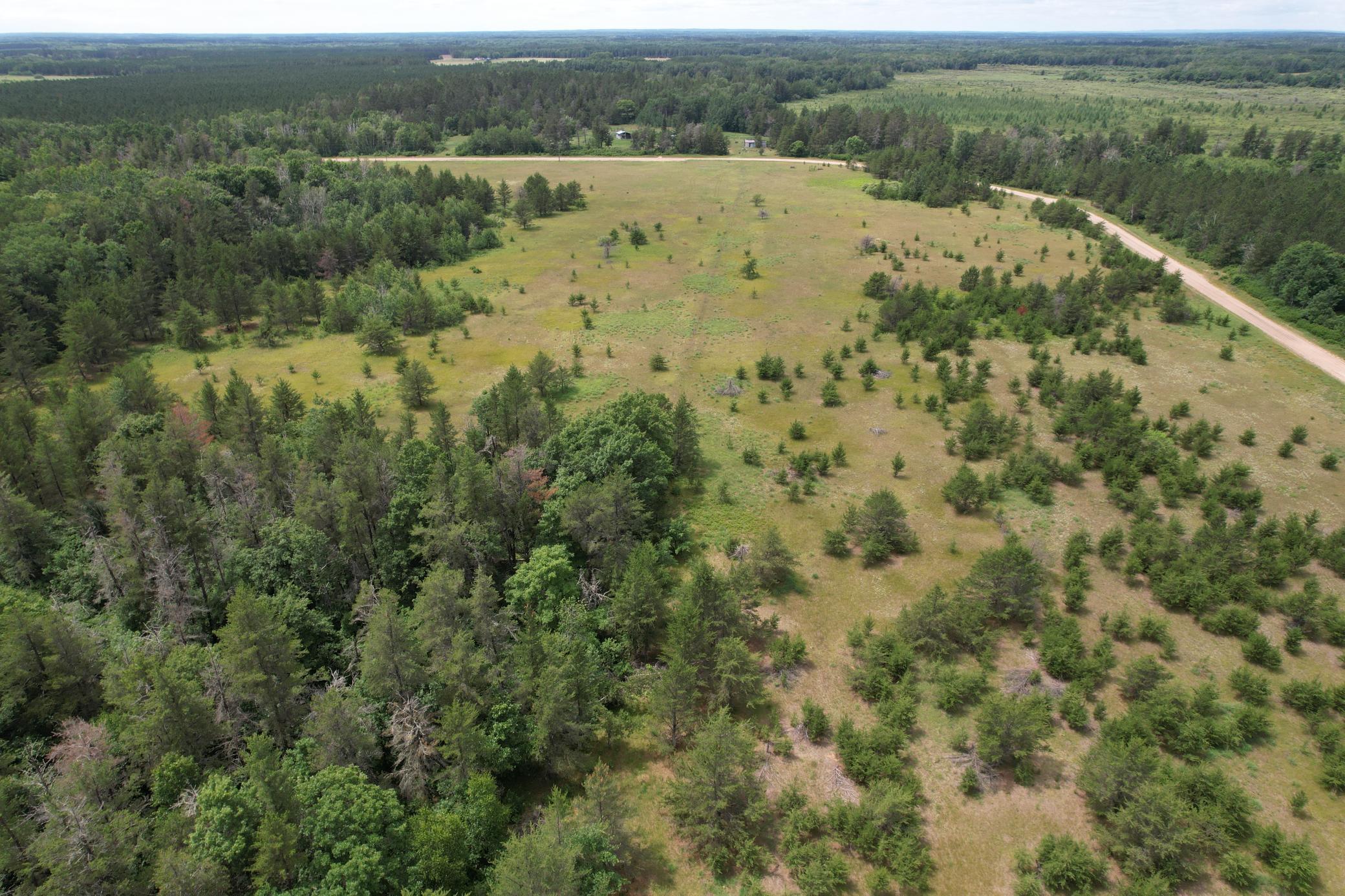 TBDx 350th Street, Menahga MN 56464 - Photo 8 of 22