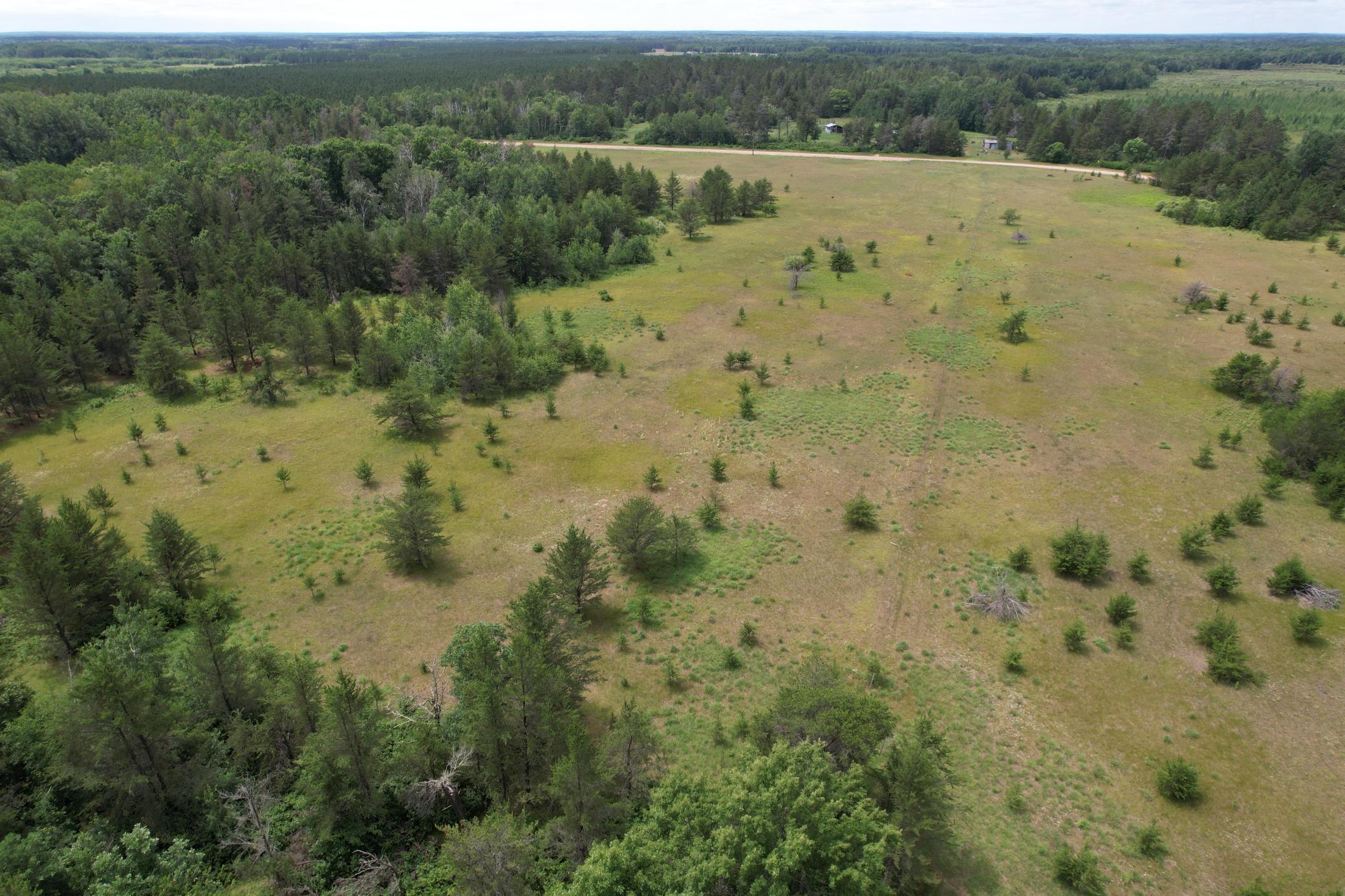 TBDx 350th Street, Menahga MN 56464 - Photo 9 of 22