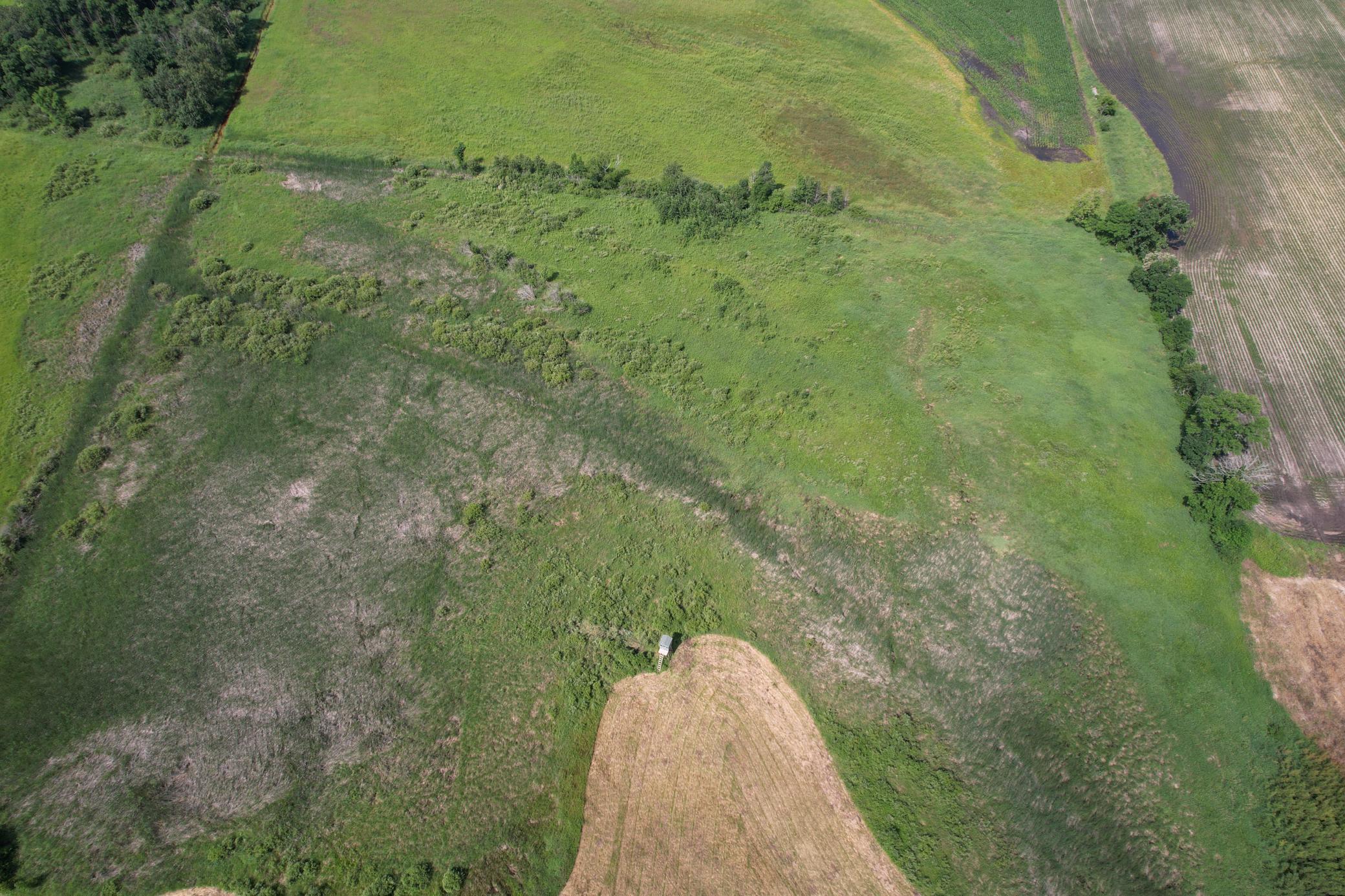 TBD 215th Avenue, Long Prairie MN 56347 - Photo 13 of 102