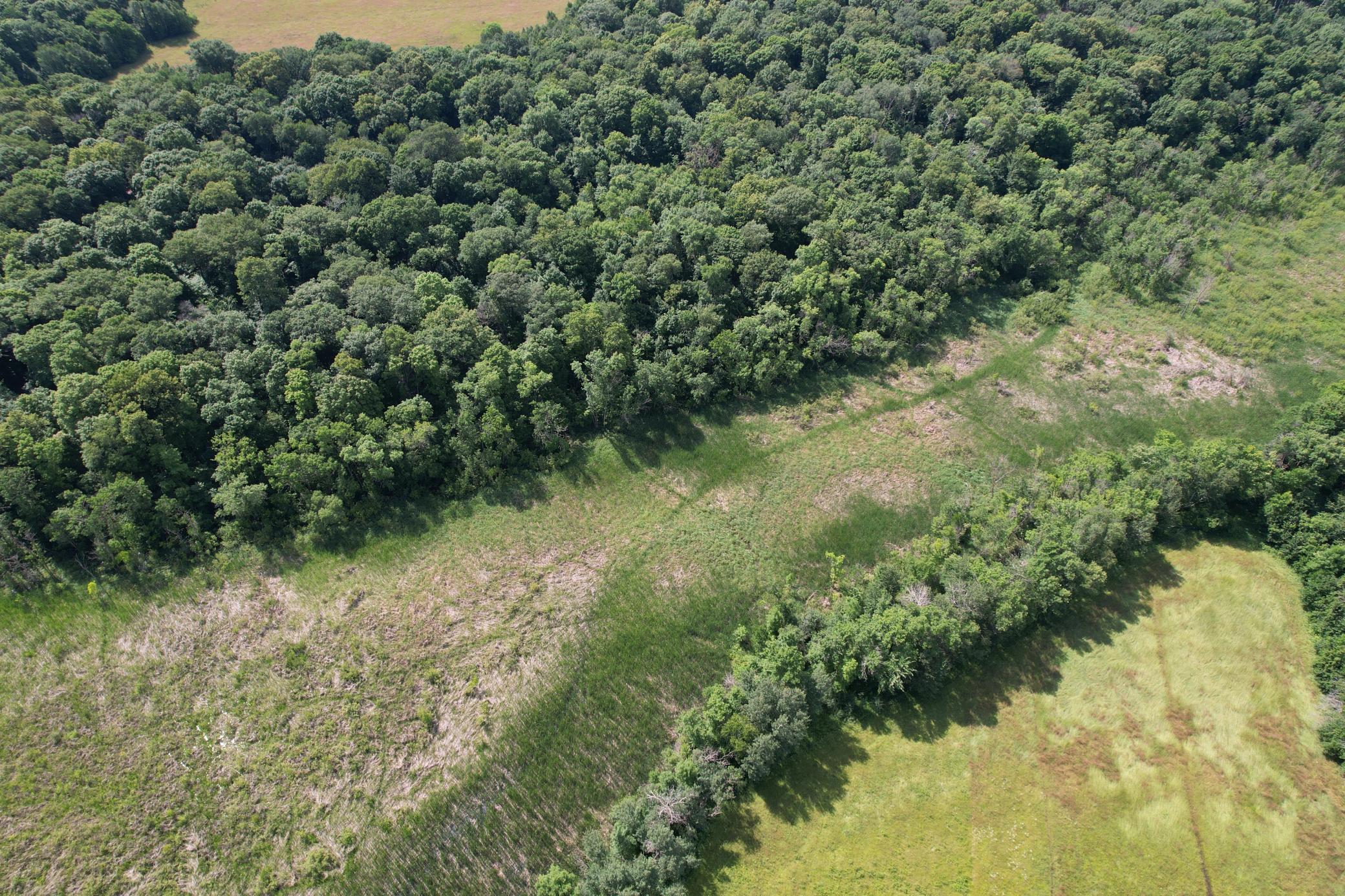 TBD 215th Avenue, Long Prairie MN 56347 - Photo 16 of 102
