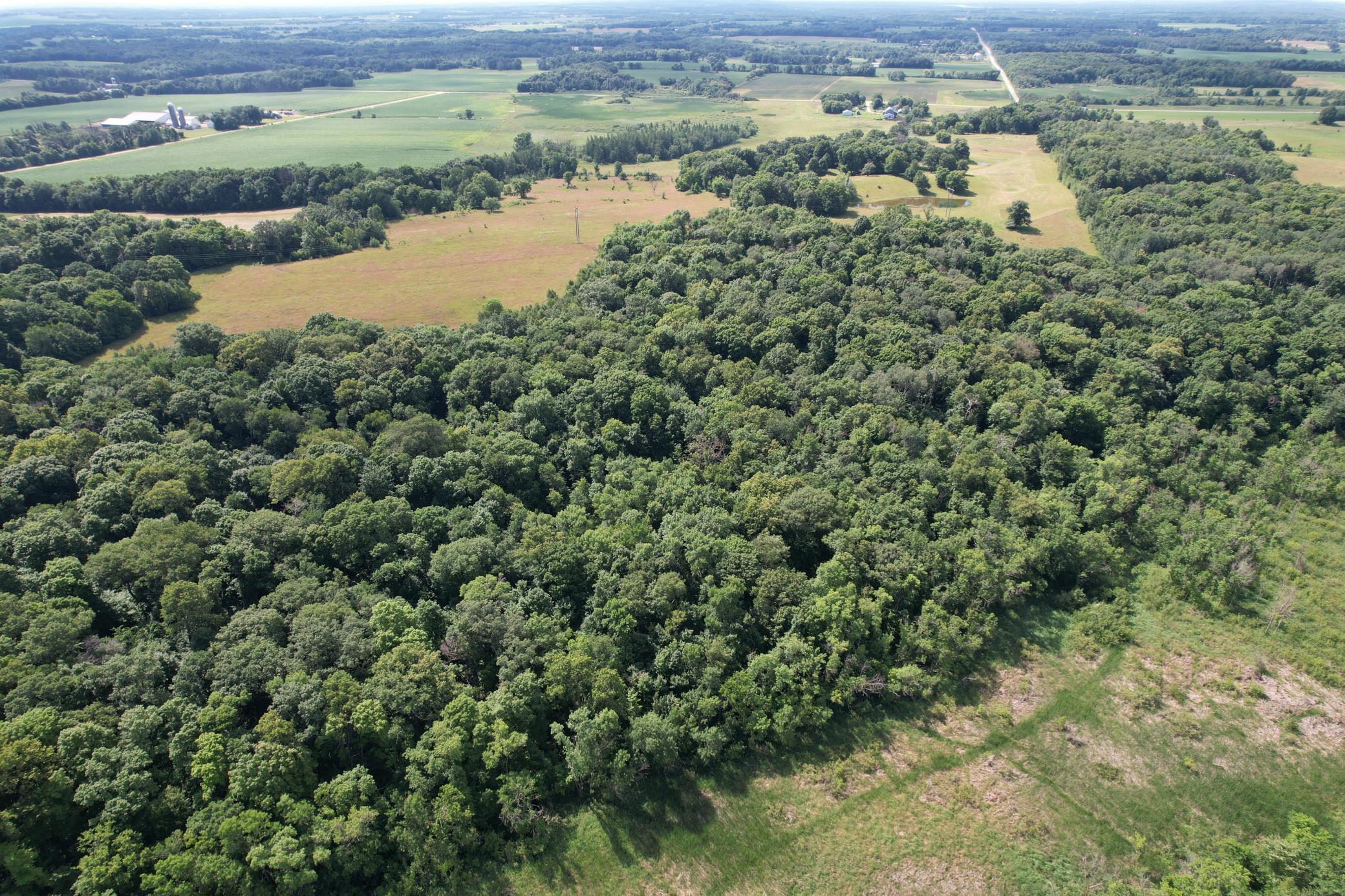 TBD 215th Avenue, Long Prairie MN 56347 - Photo 17 of 102