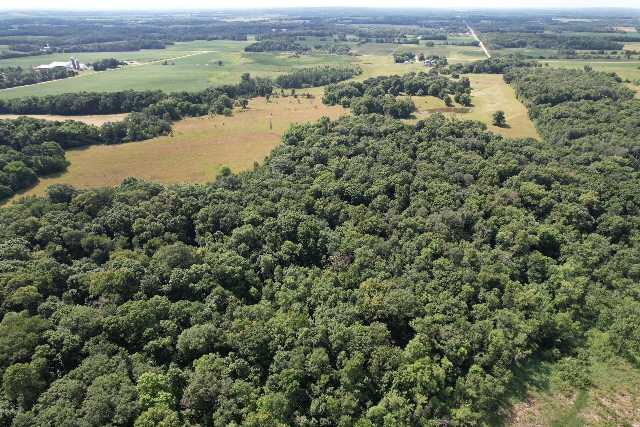 TBD 215th Avenue, Long Prairie MN 56347 - Photo 18 of 102