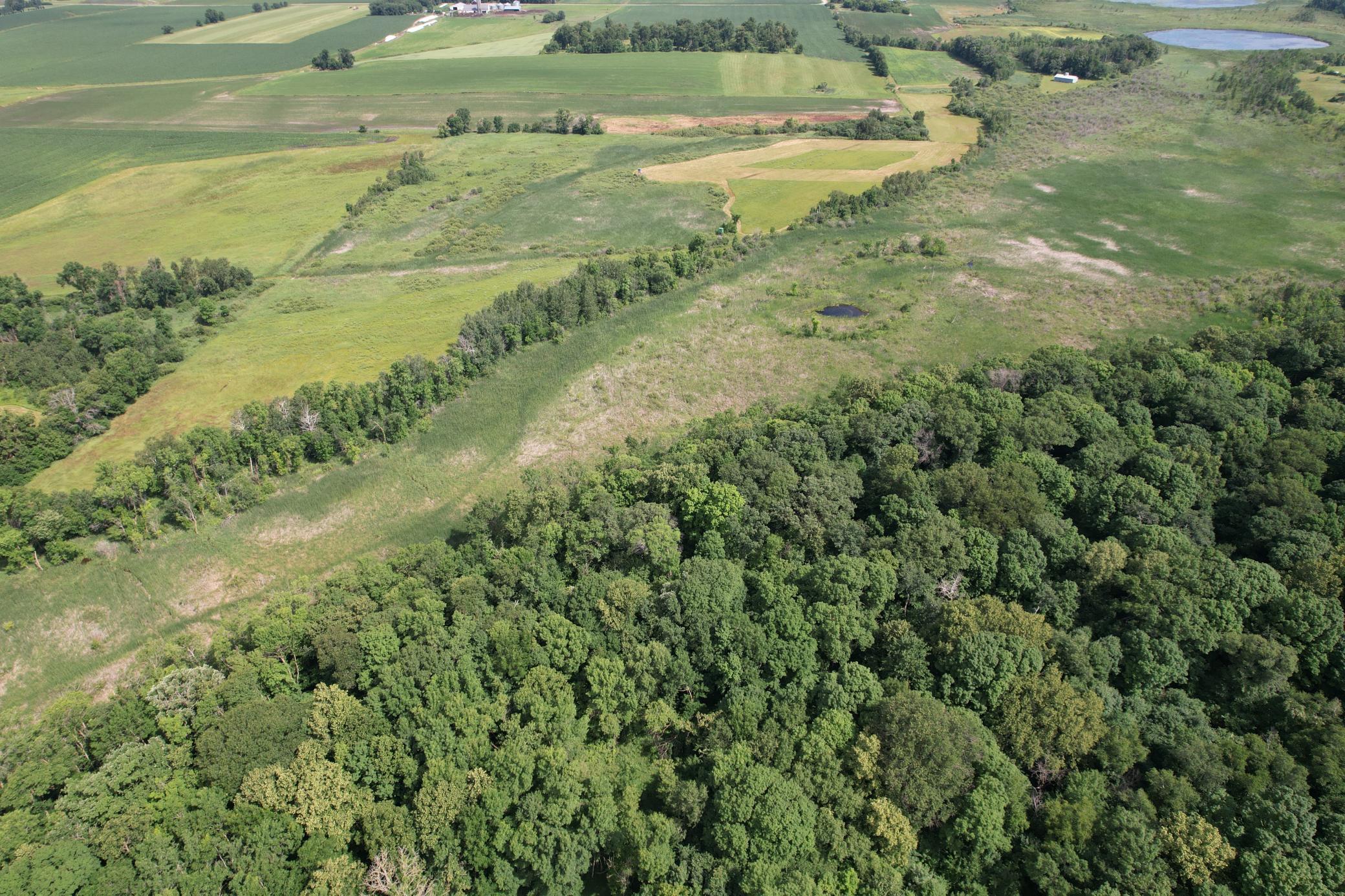 TBD 215th Avenue, Long Prairie MN 56347 - Photo 20 of 102