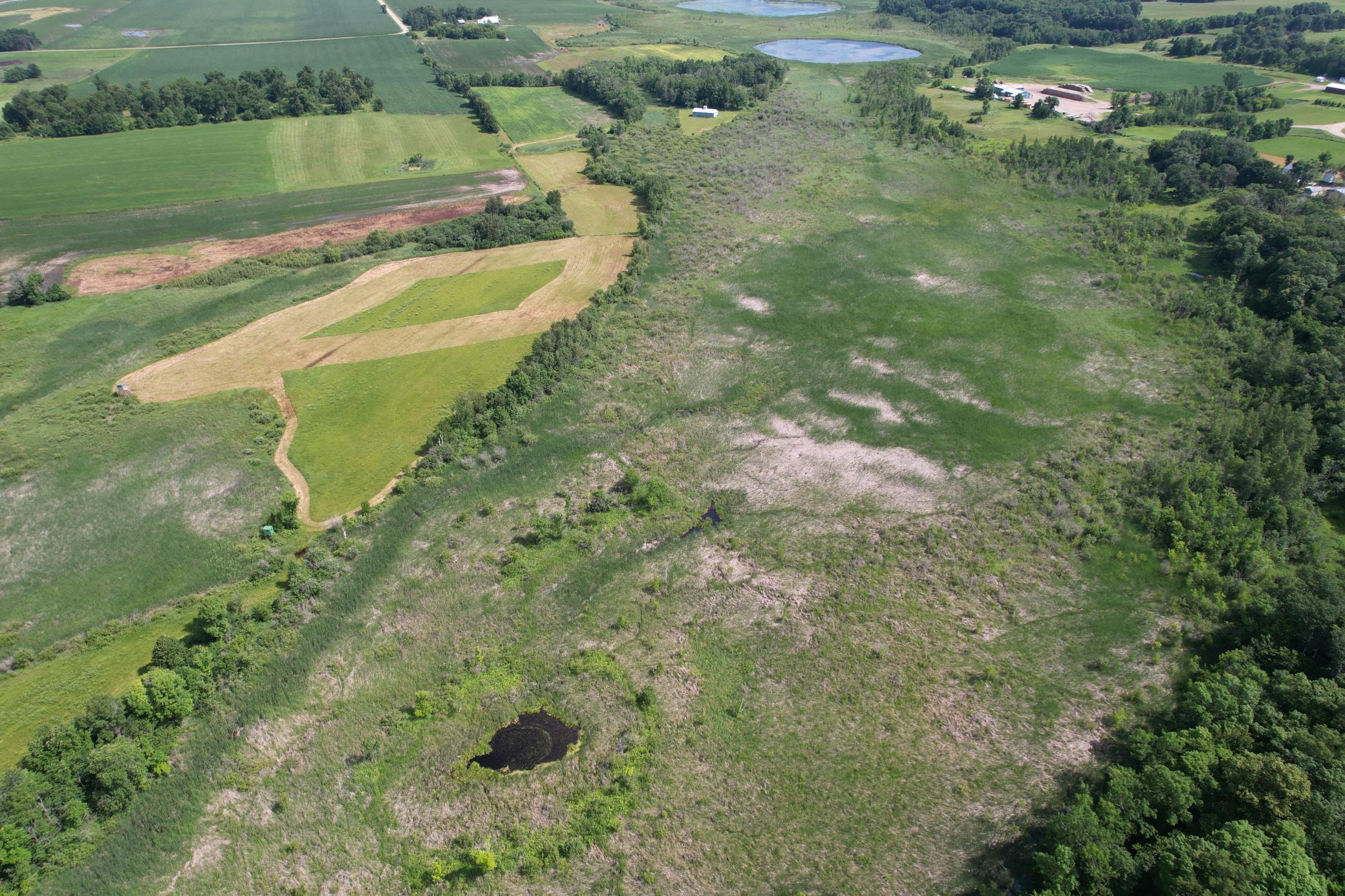 TBD 215th Avenue, Long Prairie MN 56347 - Photo 22 of 102