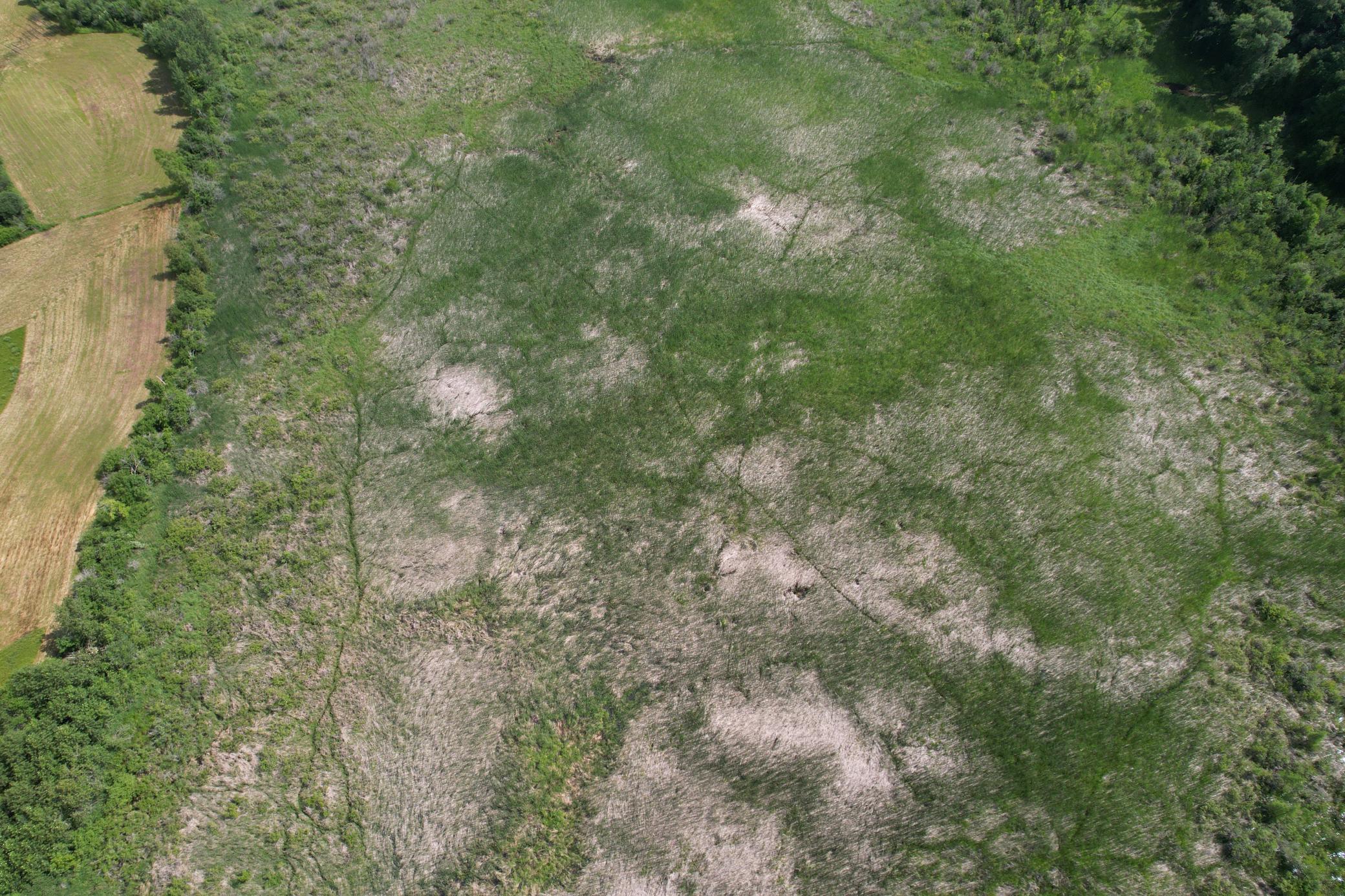 TBD 215th Avenue, Long Prairie MN 56347 - Photo 24 of 102