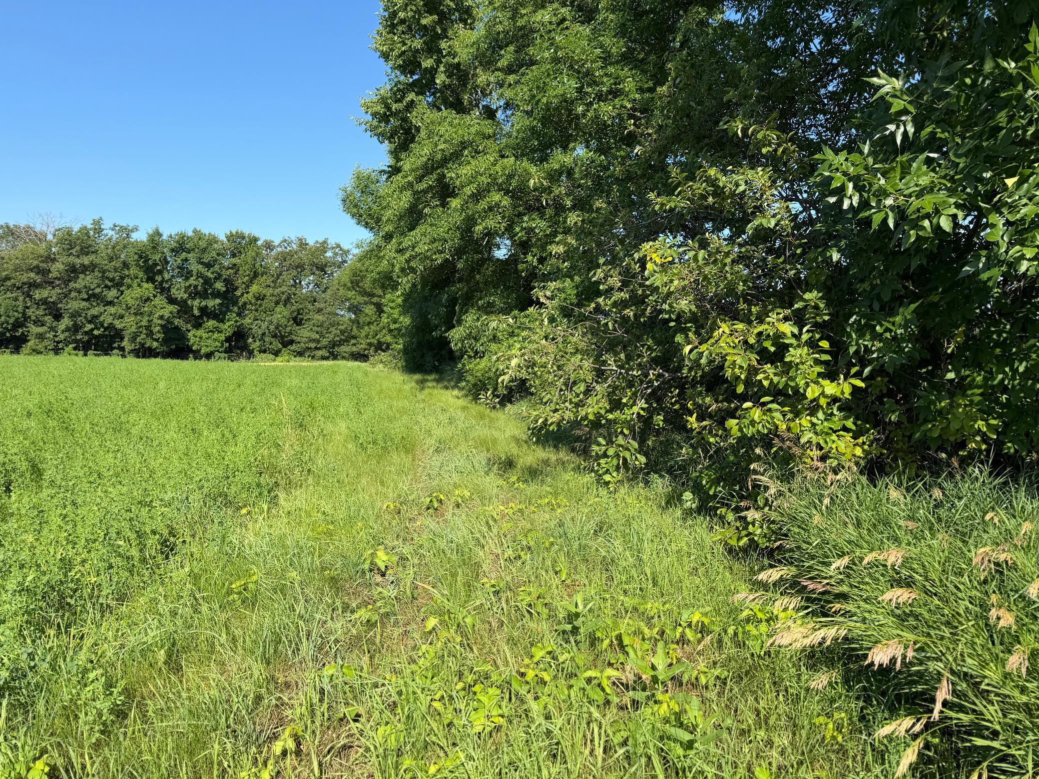 TBD 215th Avenue, Long Prairie MN 56347 - Photo 29 of 102