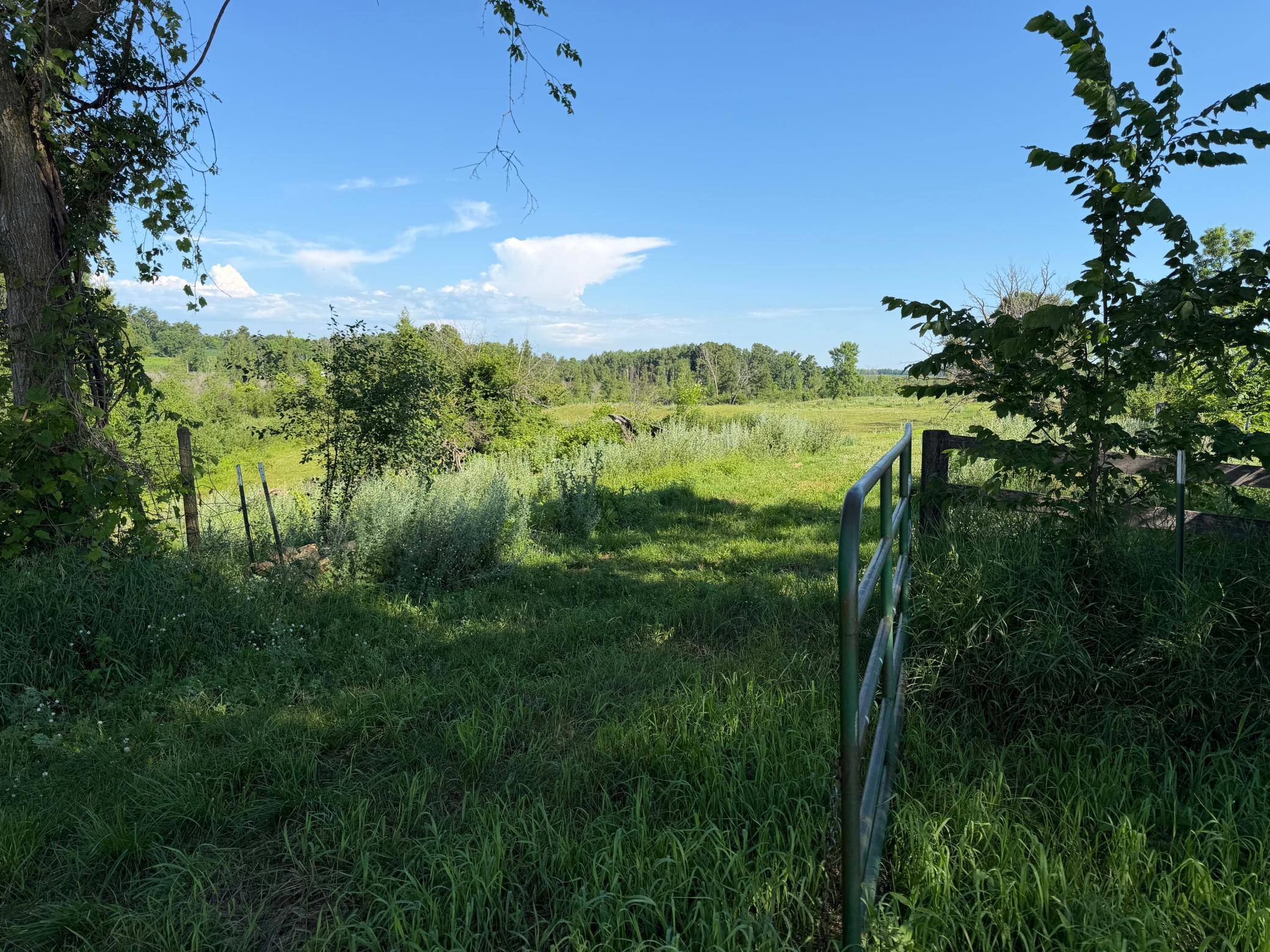 TBD 215th Avenue, Long Prairie MN 56347 - Photo 30 of 102