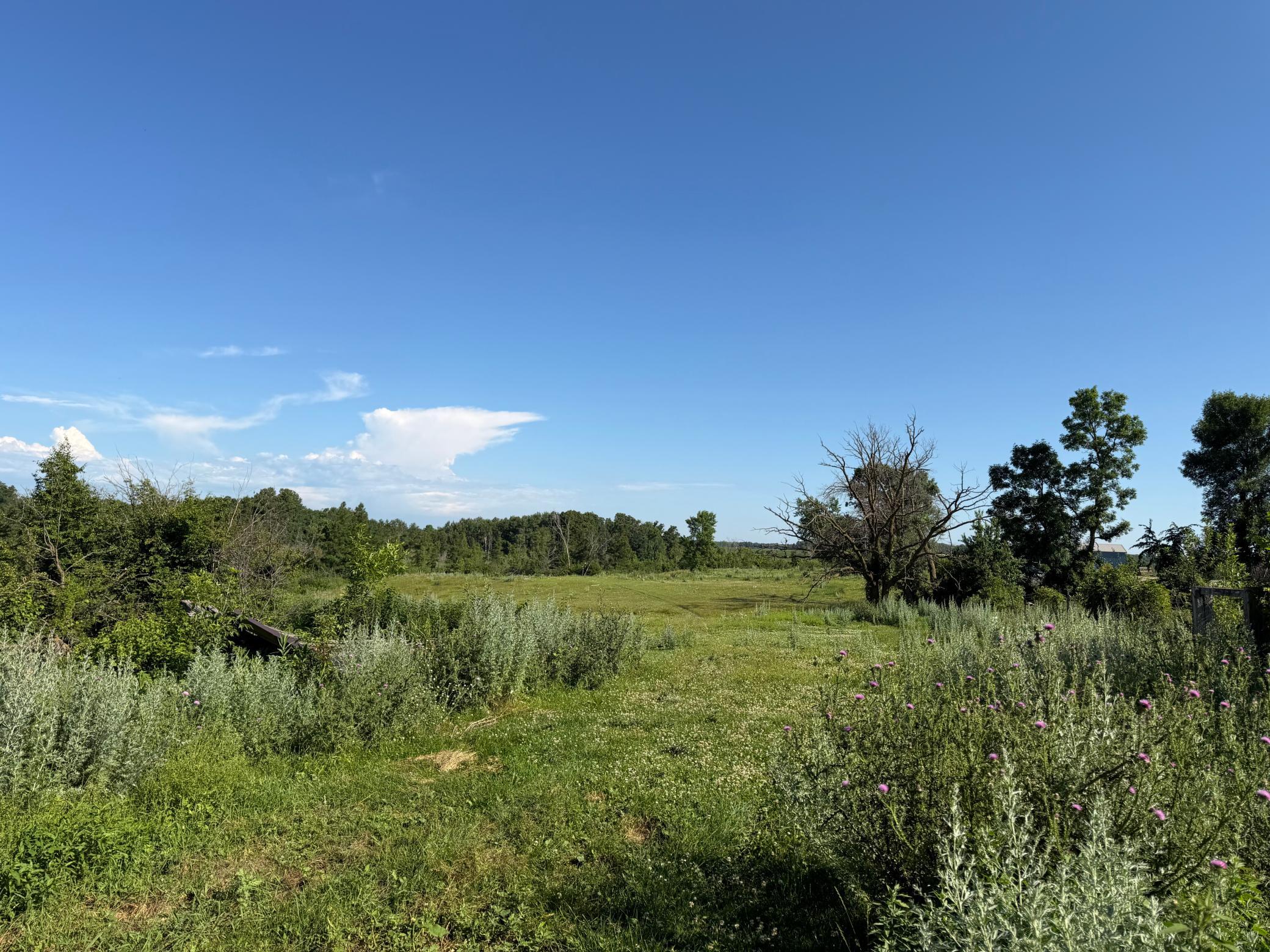 TBD 215th Avenue, Long Prairie MN 56347 - Photo 31 of 102