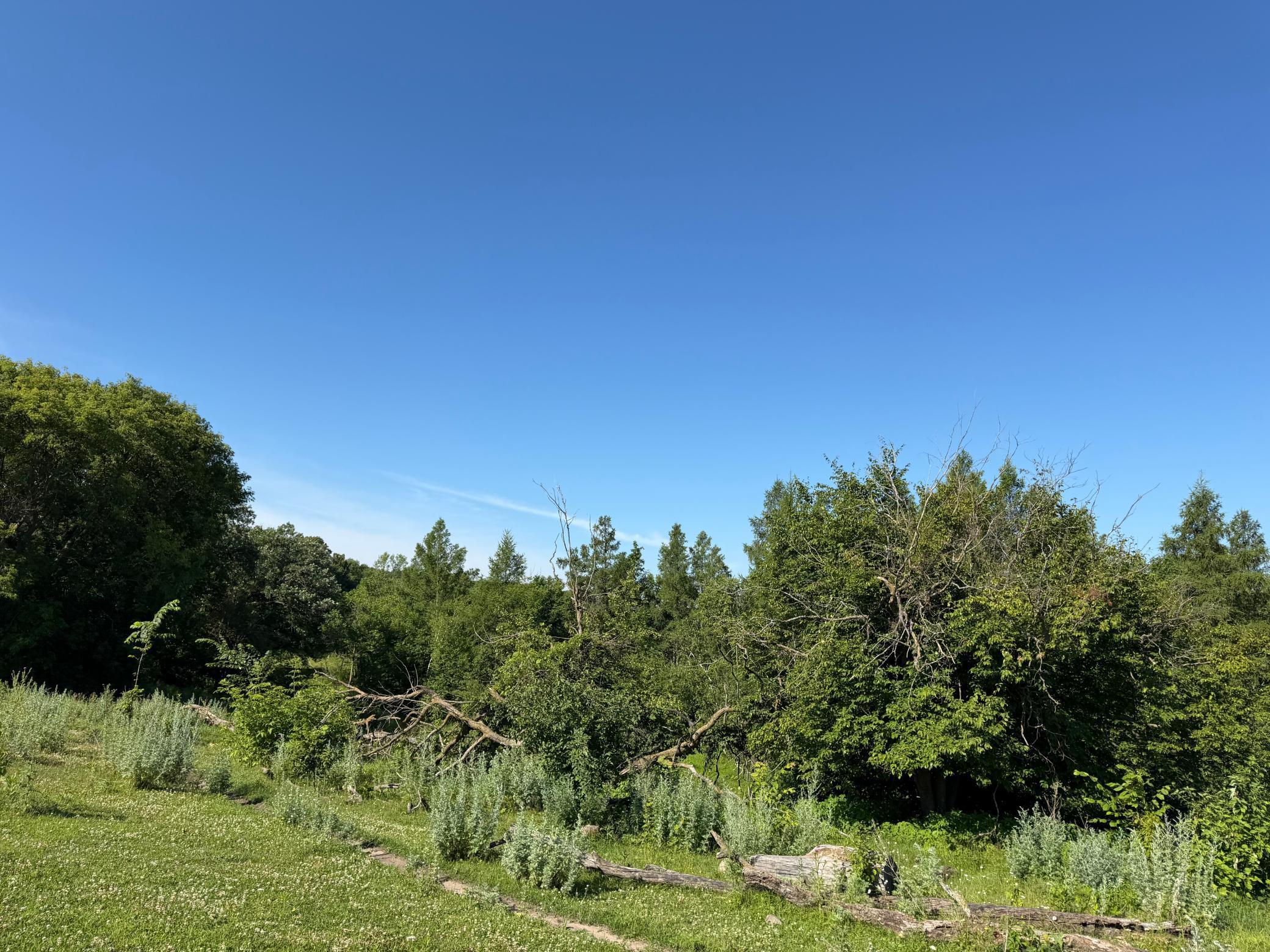 TBD 215th Avenue, Long Prairie MN 56347 - Photo 33 of 102