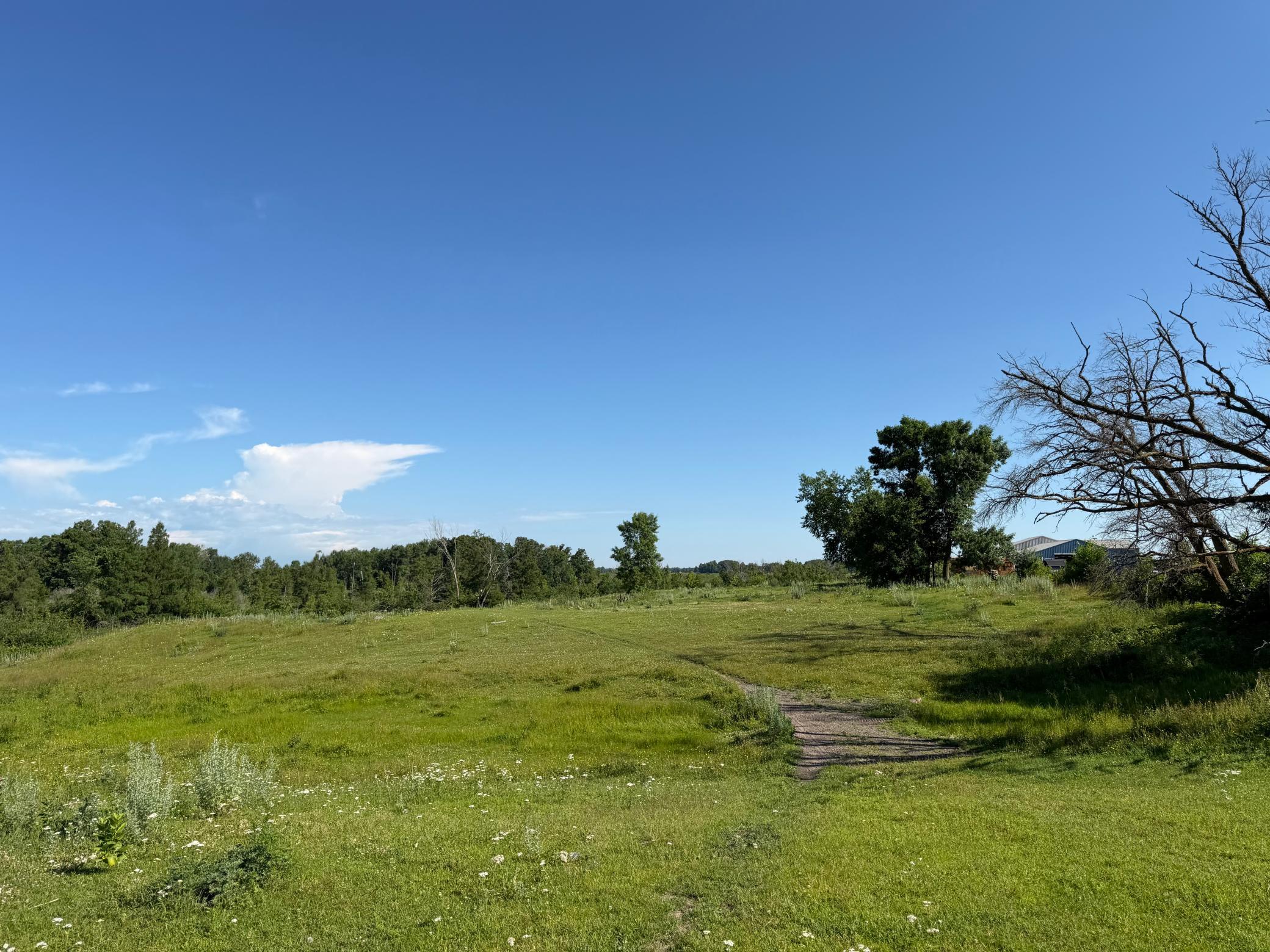 TBD 215th Avenue, Long Prairie MN 56347 - Photo 34 of 102