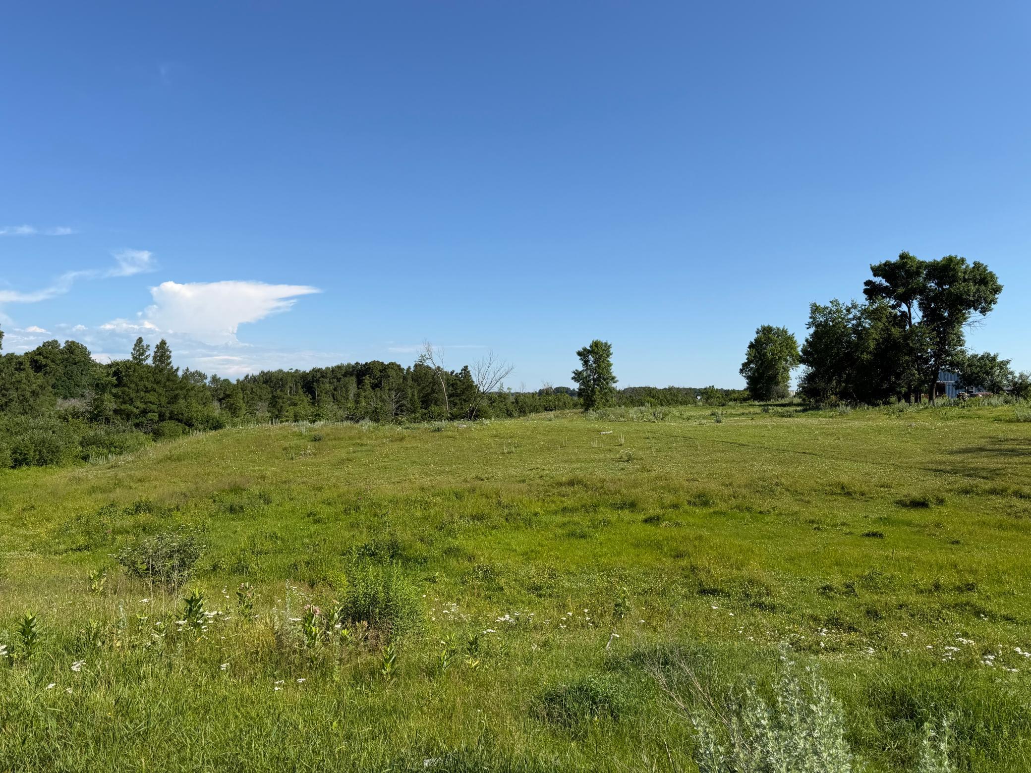 TBD 215th Avenue, Long Prairie MN 56347 - Photo 35 of 102