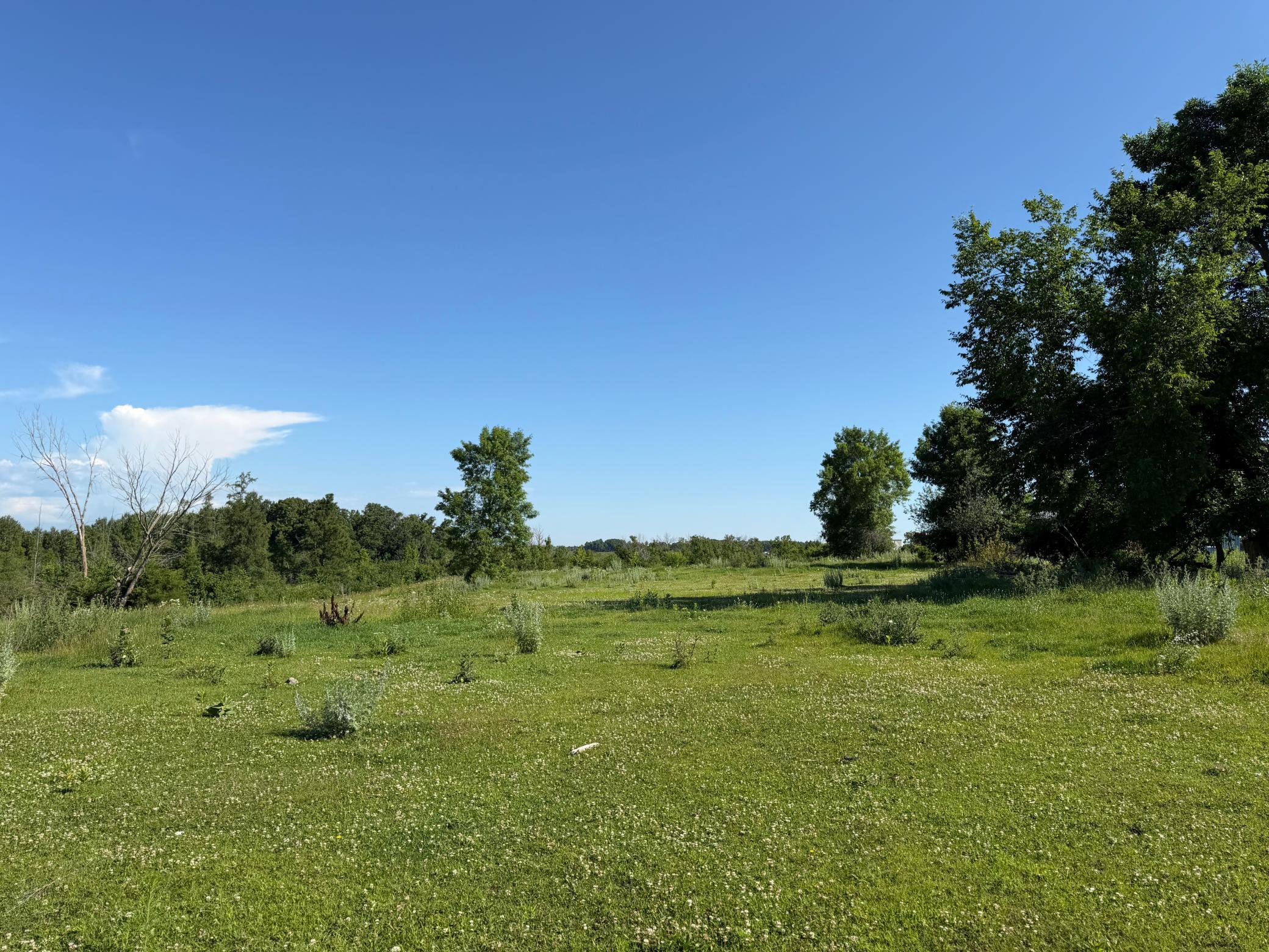 TBD 215th Avenue, Long Prairie MN 56347 - Photo 36 of 102