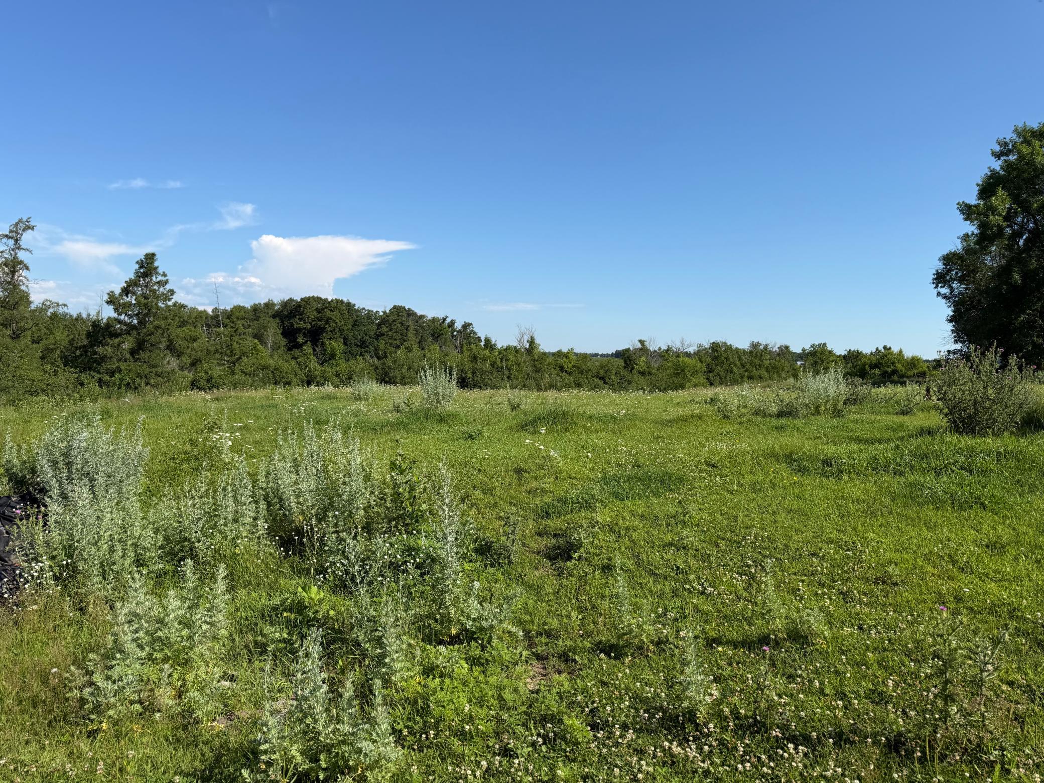 TBD 215th Avenue, Long Prairie MN 56347 - Photo 37 of 102