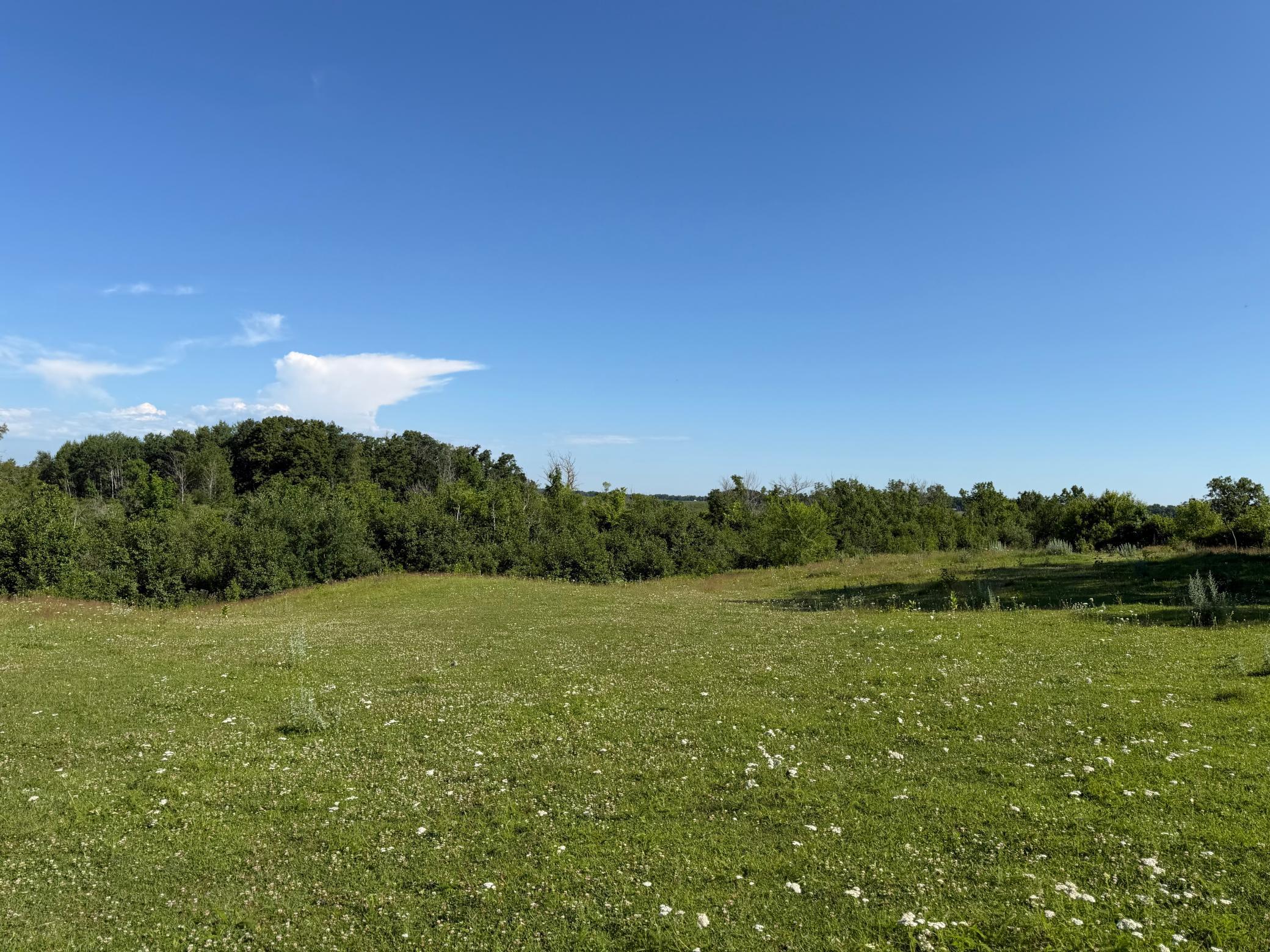 TBD 215th Avenue, Long Prairie MN 56347 - Photo 38 of 102
