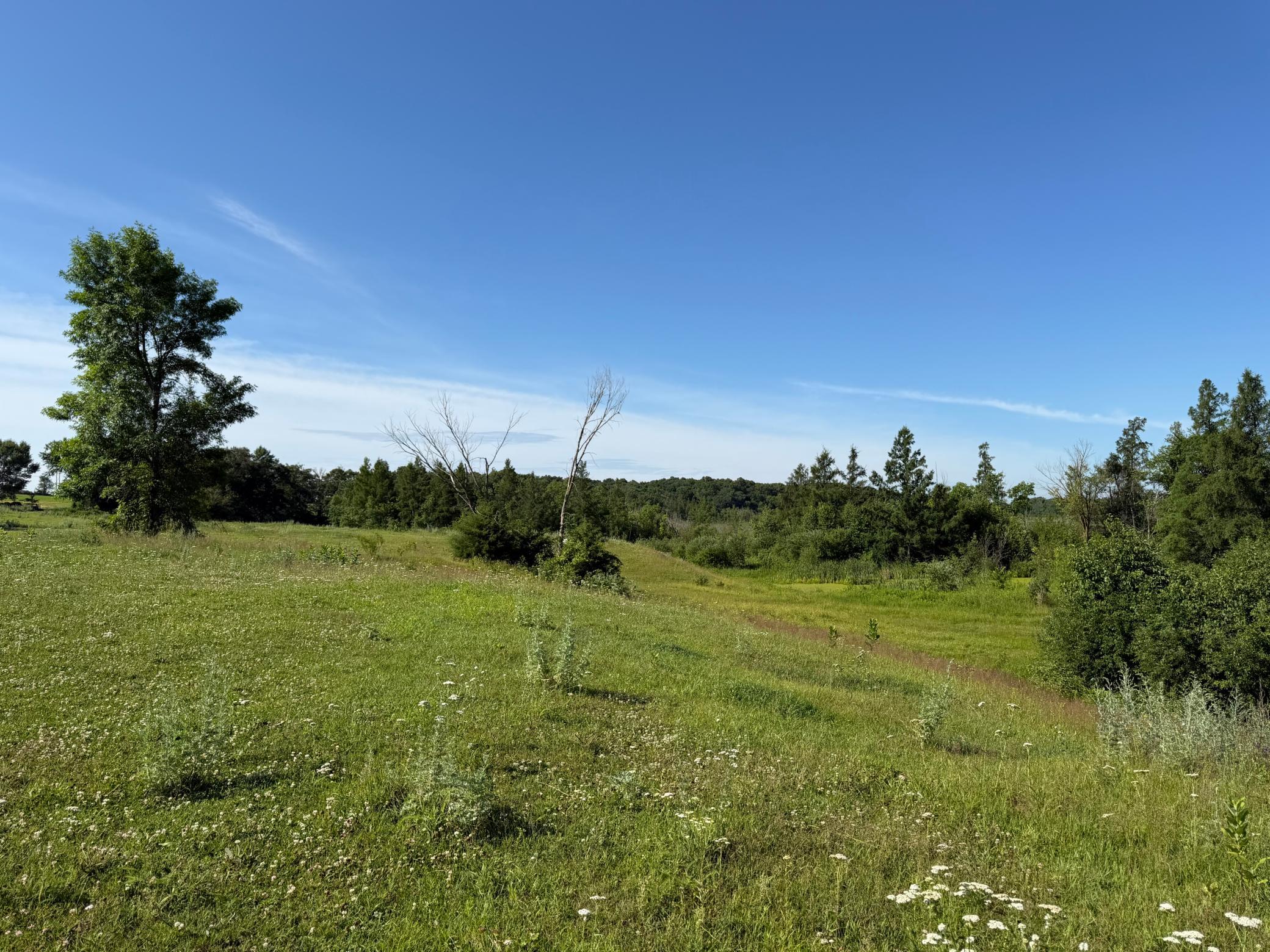 TBD 215th Avenue, Long Prairie MN 56347 - Photo 39 of 102