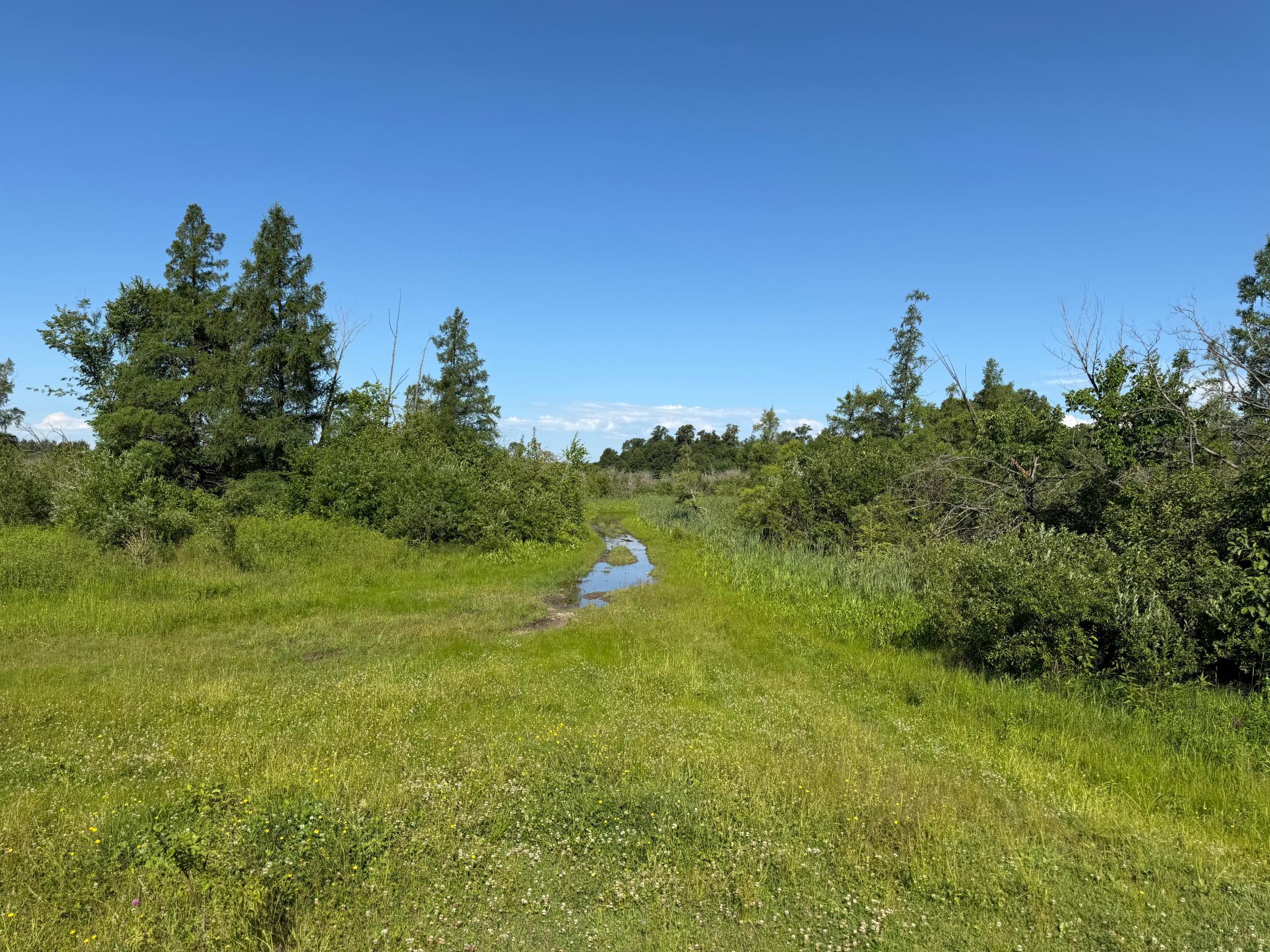 TBD 215th Avenue, Long Prairie MN 56347 - Photo 40 of 102